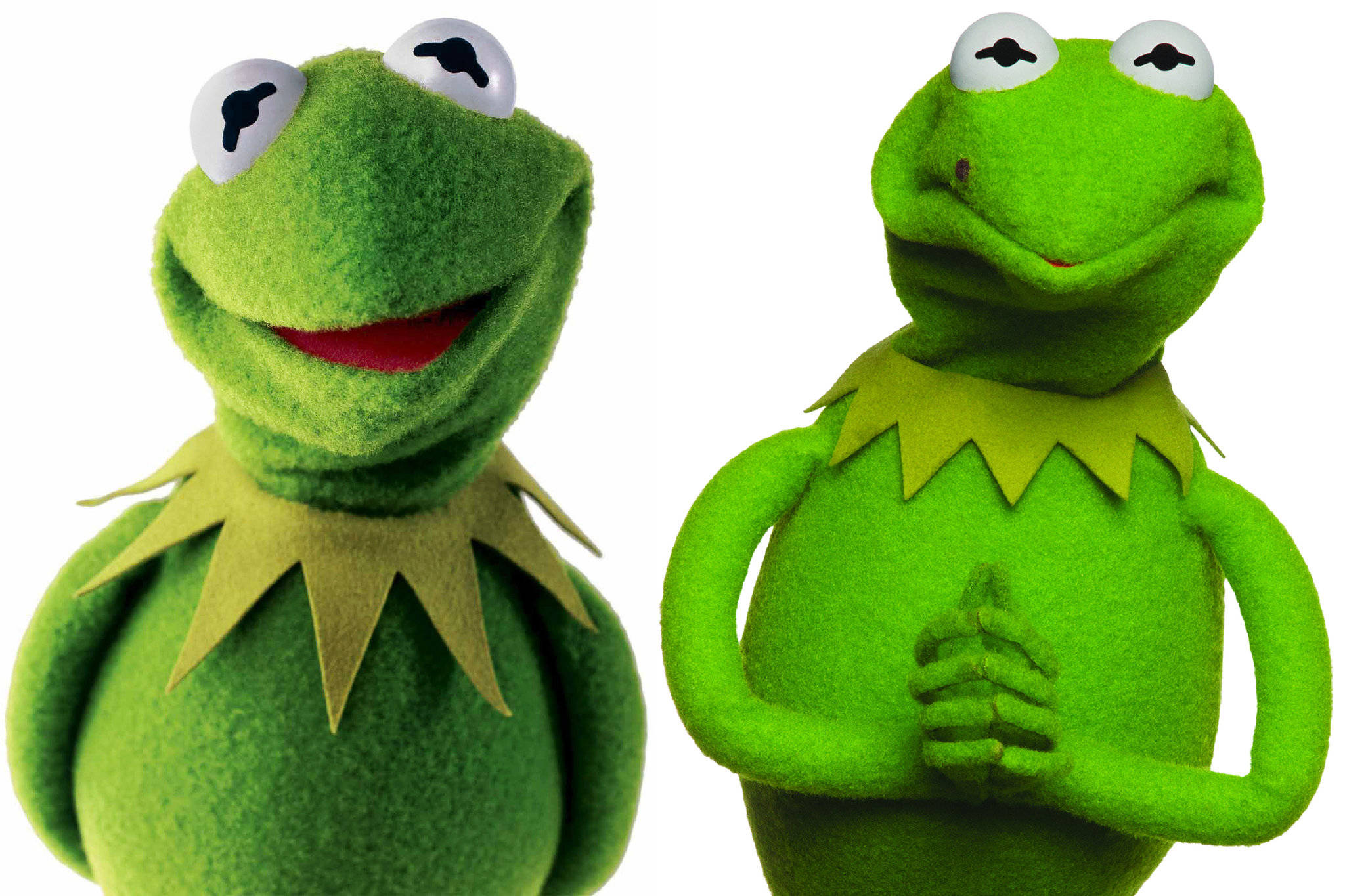 muppets 桌布 壁紙 — 兩隻綠色青蛙木偶，眼睛大大，戴著黃色領子，在白色背景上微笑。