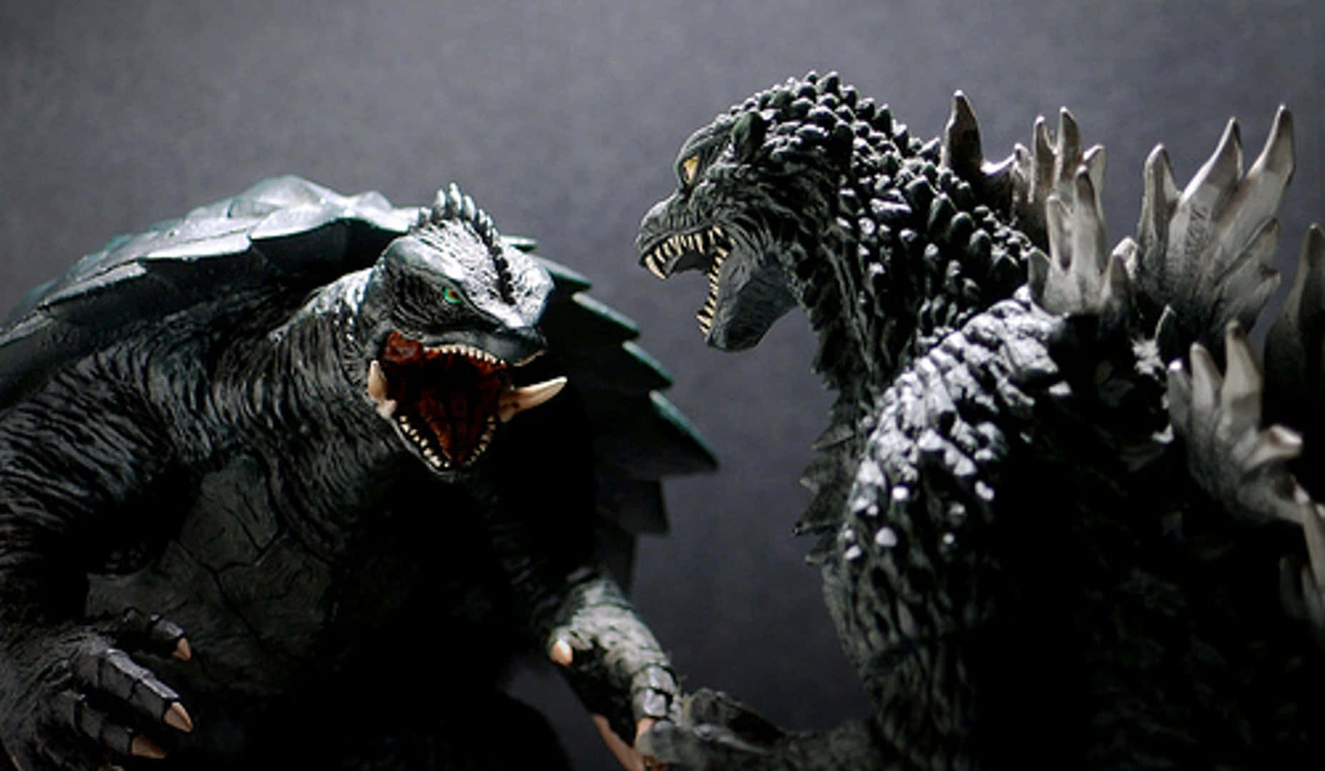Godzilla Vs Gamera 桌布 壁紙 — 兩隻背脊有刺、張開血盆大口的怪獸卡伊獸，在深灰色背景前面對面咆哮。