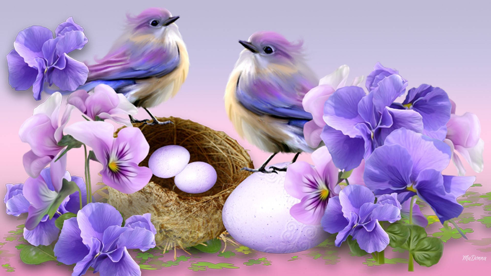 Cute Spring 桌布 壁紙 — 兩隻色彩繽紛的鳥棲息在一個有蛋的巢附近，巢被鮮豔的紫色花朵環繞，背景是柔和的粉紅色。