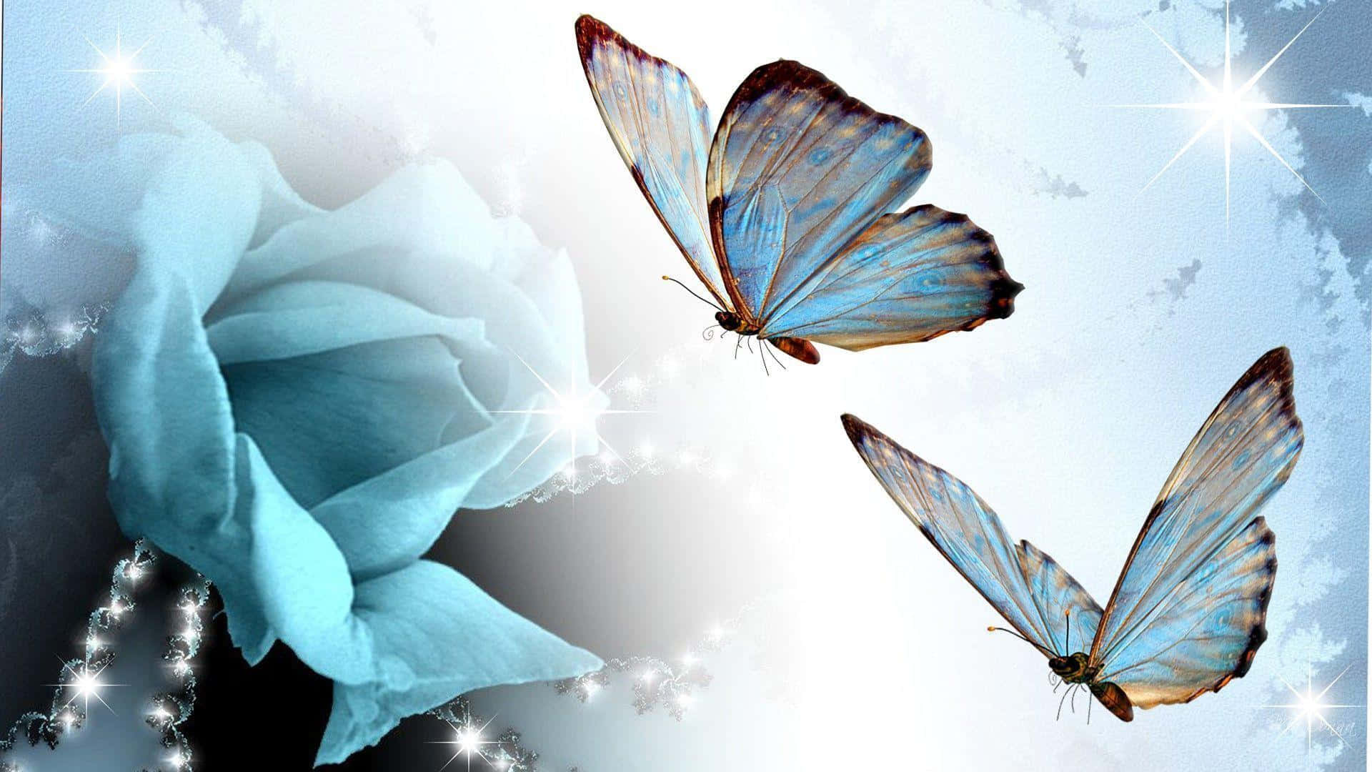 Butterfly Art 桌布 壁紙 — 兩隻虹彩藍色蝴蝶在閃爍星空背景下，於柔軟藍色玫瑰附近翩翩起舞。