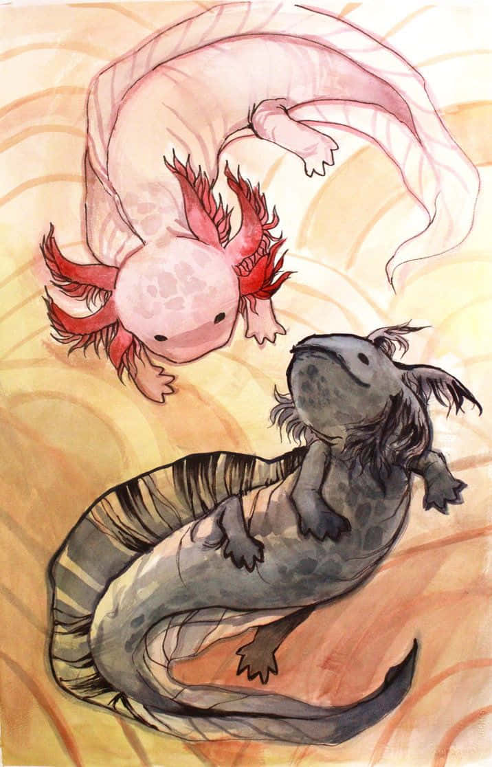 動物 桌布 壁紙 — 兩隻蠑螈，一隻粉紅色有紅色鰓，另一隻灰色有深色條紋，在溫暖的漩渦背景中優雅地漂浮。