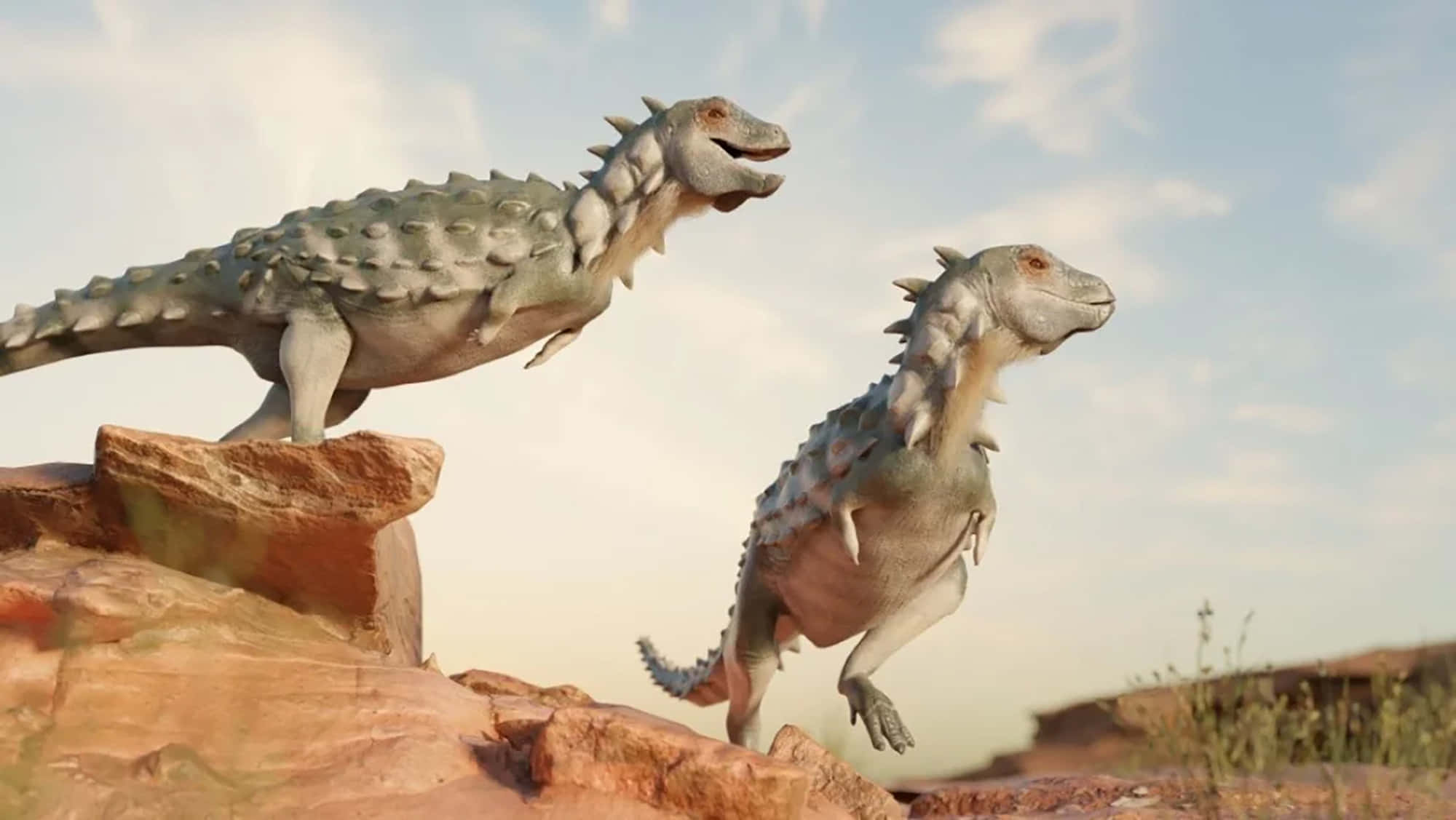 Dino 桌布 壁紙 — 兩隻裝甲恐龍在淡藍色天空和散雲下站在偏紅岩石上警覺地站立。