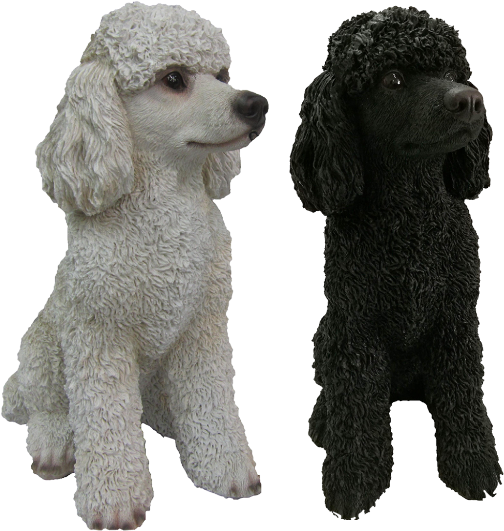 Puppy Dog 桌布 壁紙 — 兩隻貴賓狗雕像，一白一黑，並排坐在黑色背景前。