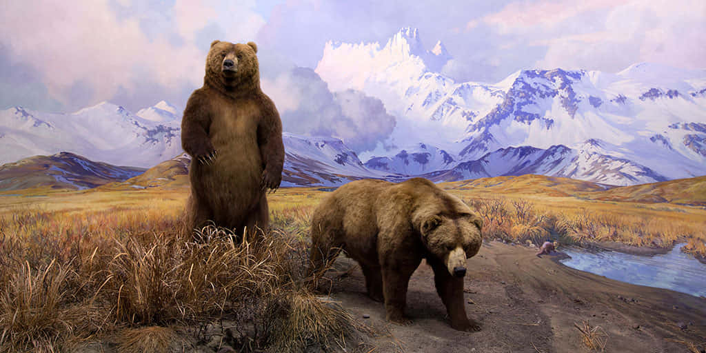 Brown Bears 桌布 壁紙 — 兩隻逼真的棕熊站在一個長滿草的山谷中，有積雪的山脈和一條河流，天空多雲。