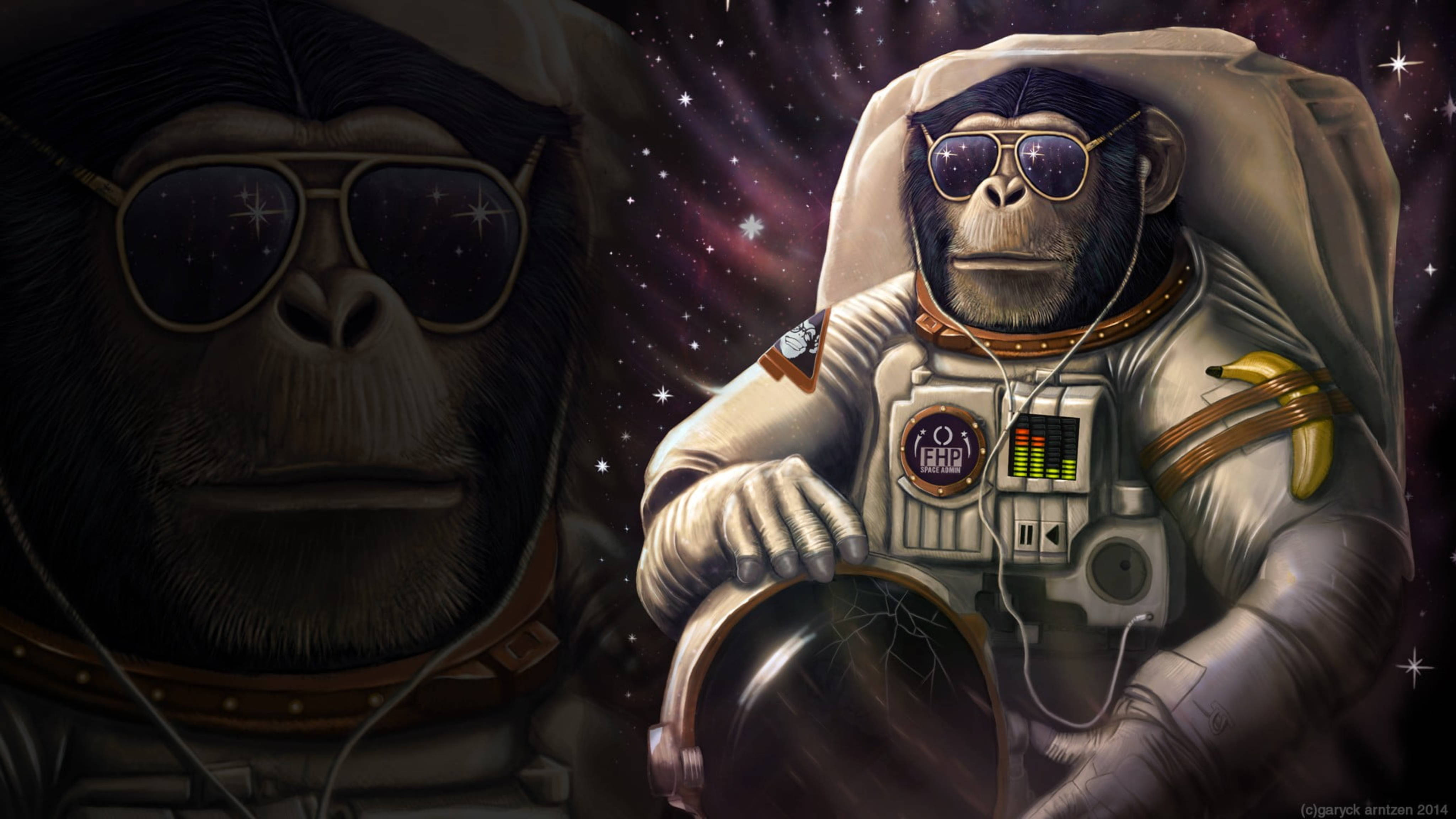 Chimpanzee 桌布 壁紙 — 兩隻酷酷的猿人穿著太空衣戴著太陽眼鏡，在佈滿星星的宇宙虛空中漂浮，其中一隻拿著香蕉。