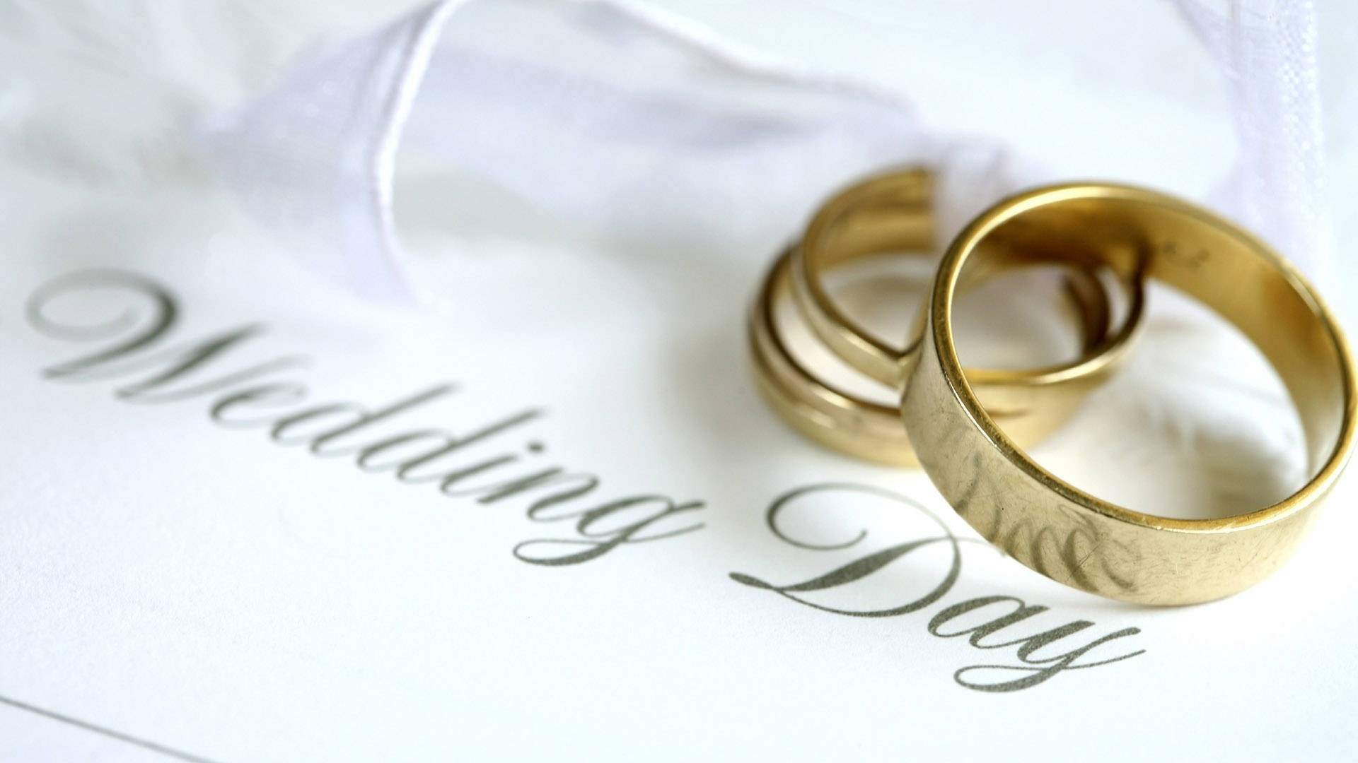 Wedding 桌布 壁紙 — 兩隻金結婚戒指放在一張寫有 Wedding Day 的白色卡片上，旁邊有一塊薄紗。