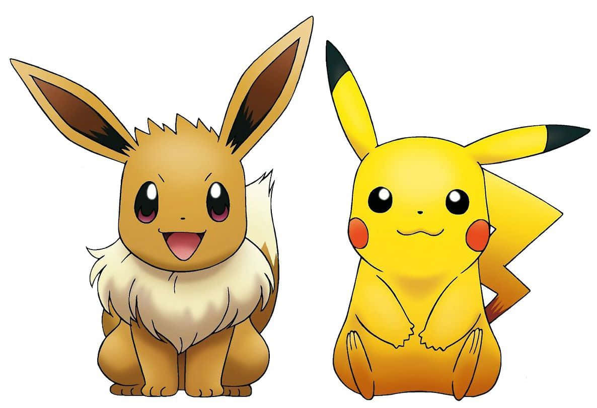 Cute Pikachu And Eevee 桌布 壁紙 — 兩隻開心的寶可夢伊布和皮卡丘並排坐在純白色背景前，露出燦爛的笑容。