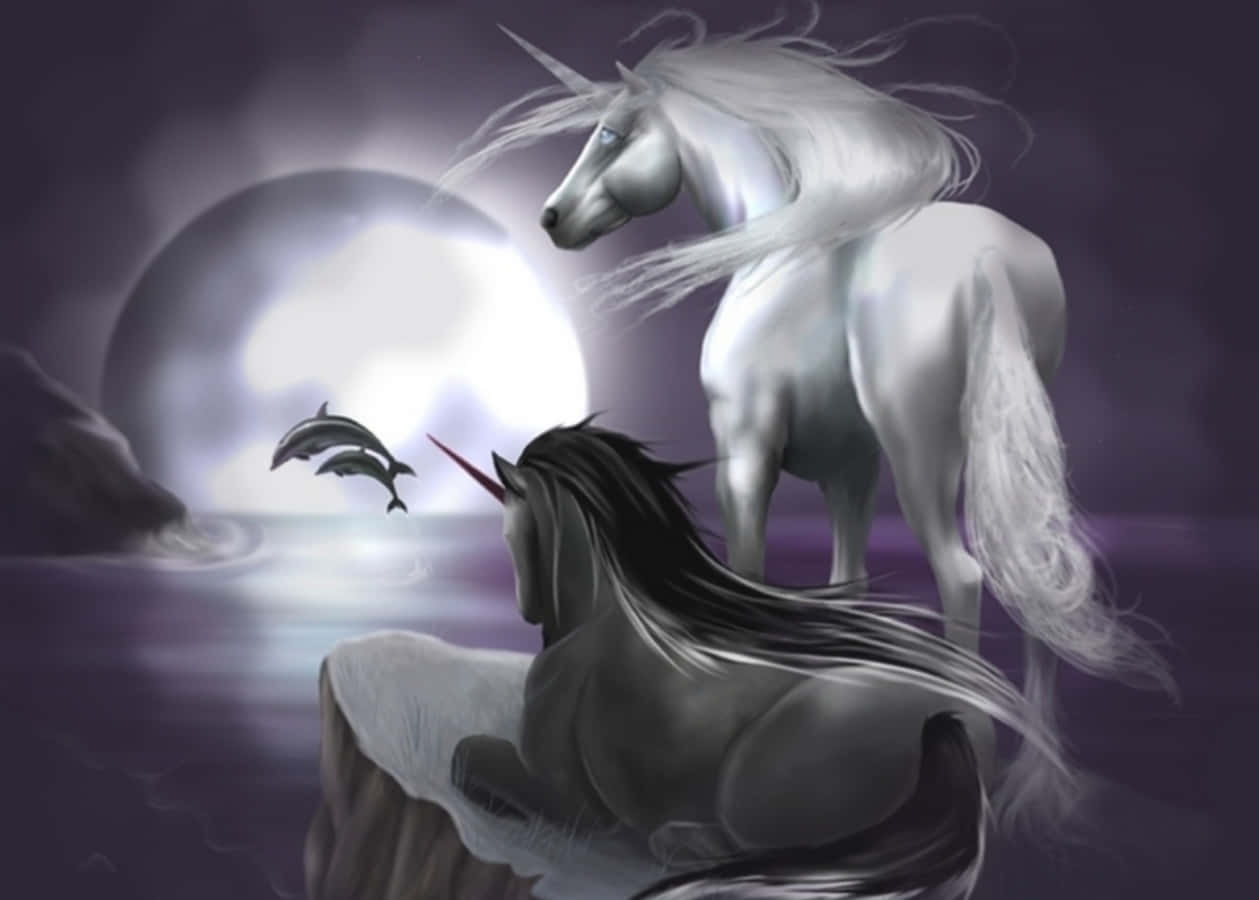 Unicorns 桌布 壁紙 — 兩隻雄偉的獨角獸——一隻白色和一隻黑色——站在月光照耀的海邊，附近有海豚跳躍。