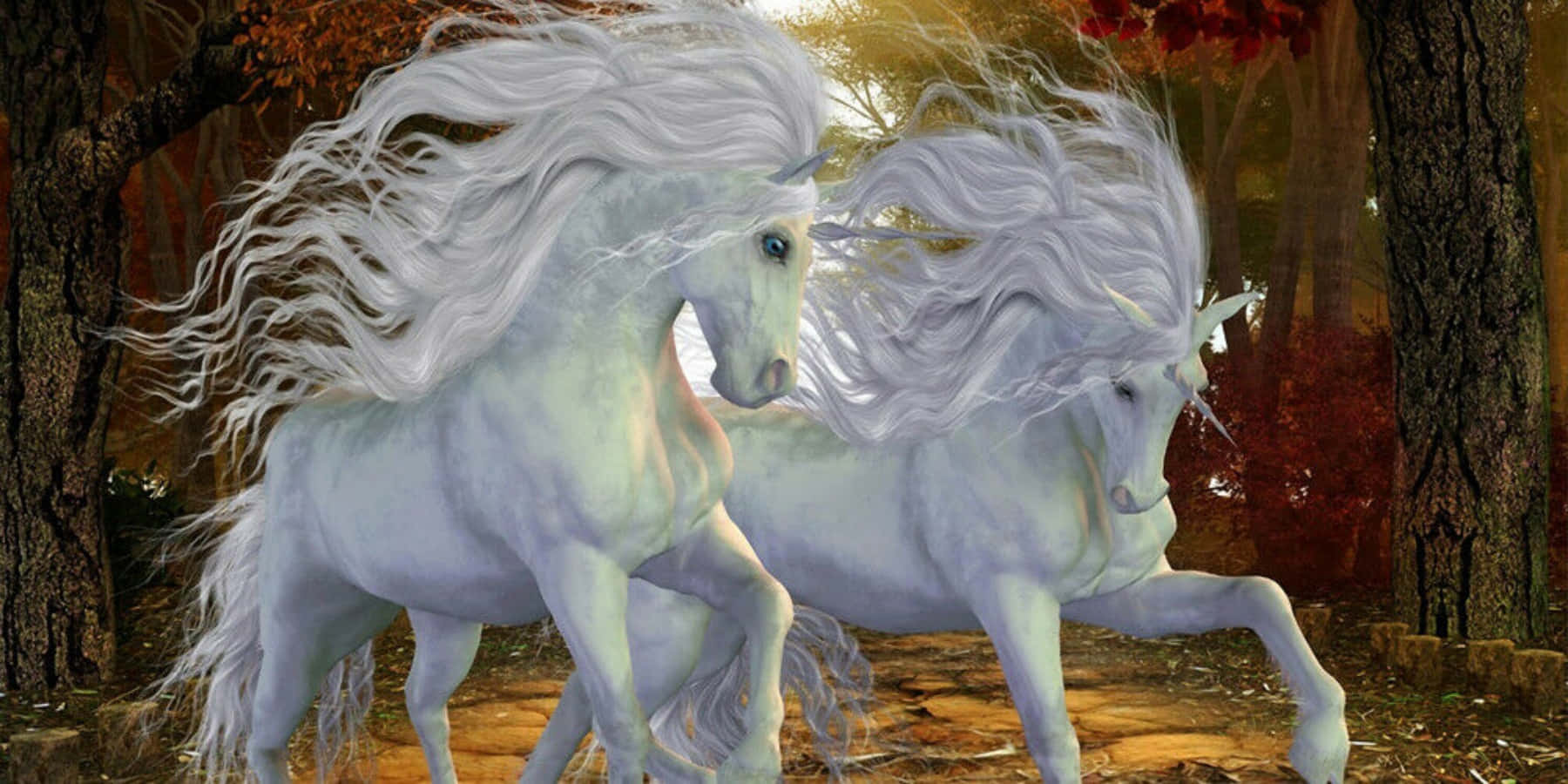 Unicorns 桌布 壁紙 — 兩隻雄偉的白色獨角獸，鬃毛飄逸，在陽光明媚的秋日森林中奔騰。
