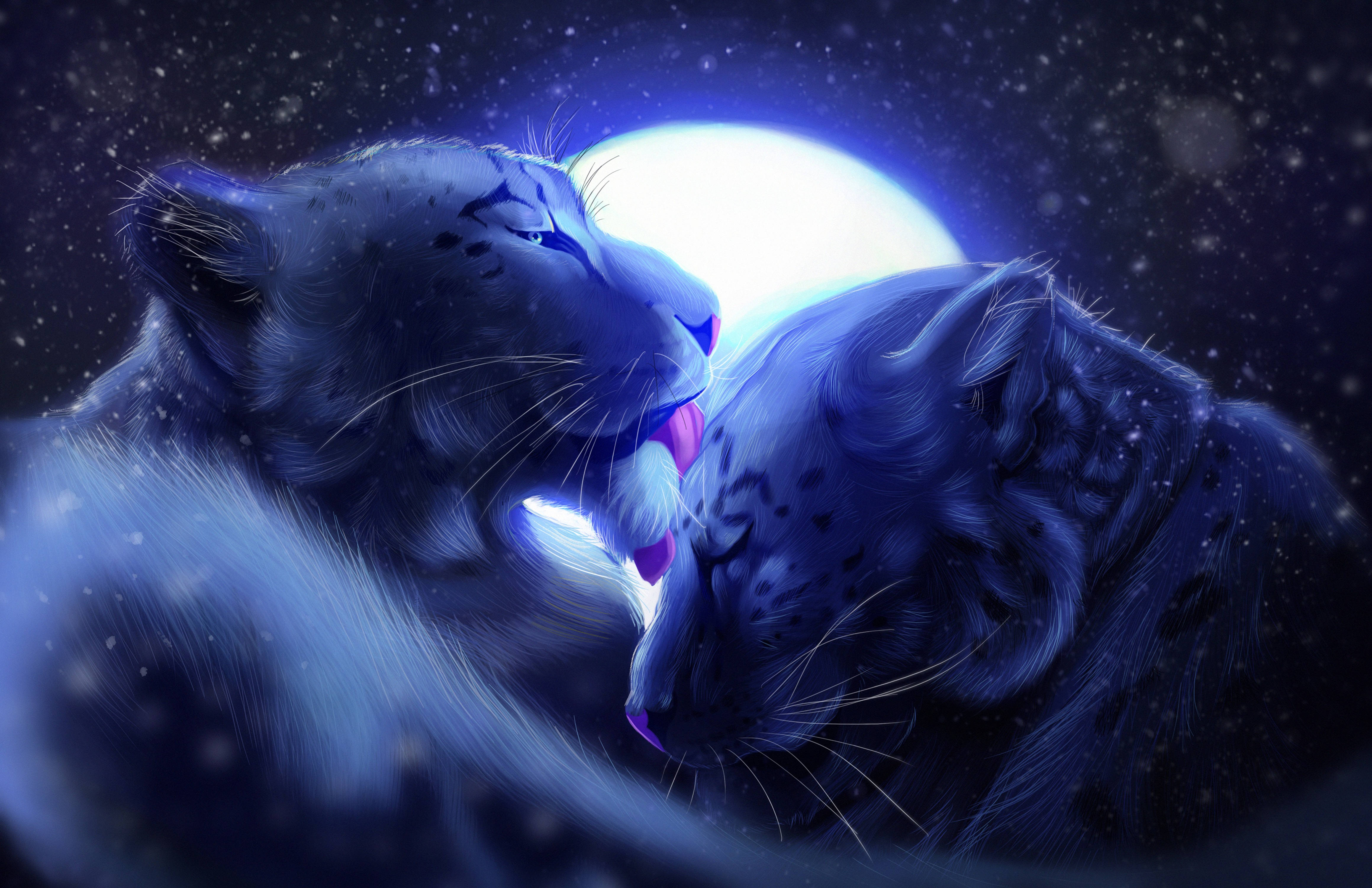 動物 桌布 壁紙 — 兩隻雪豹在星光燦爛的夜空下，在發光的月亮下溫柔地依偎。