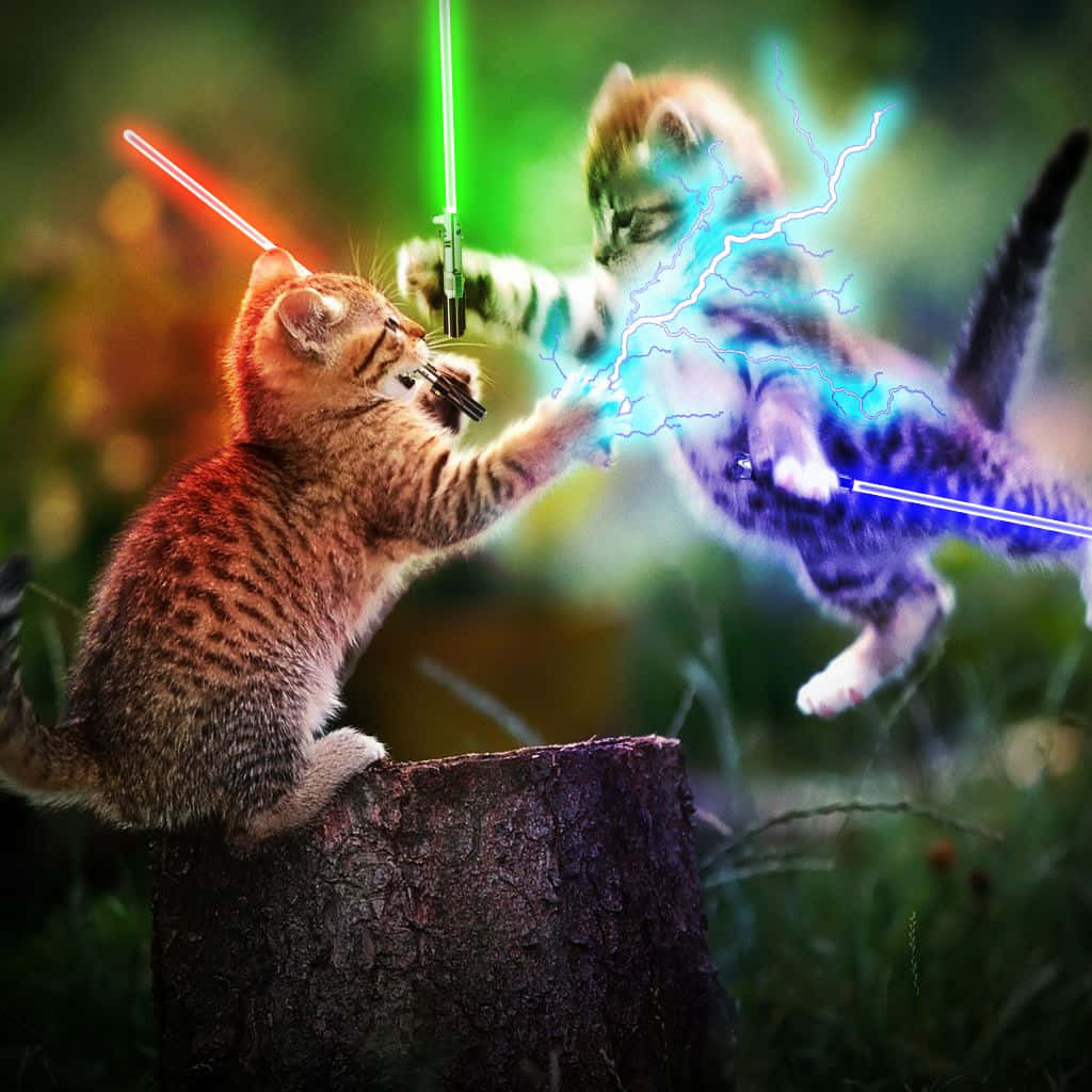 kittens 桌布 壁紙 — 兩隻頑皮的小貓在充滿活力的森林環境中，用發光的光劍決鬥，伴隨著電火花。