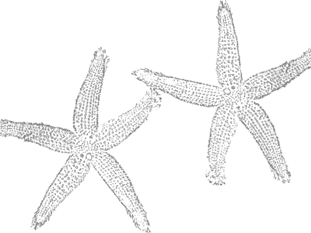 Starfish Clipart 桌布 壁紙 — 兩隻風格化的海星以像素化灰色調呈現在鮮明的黑色背景上。
