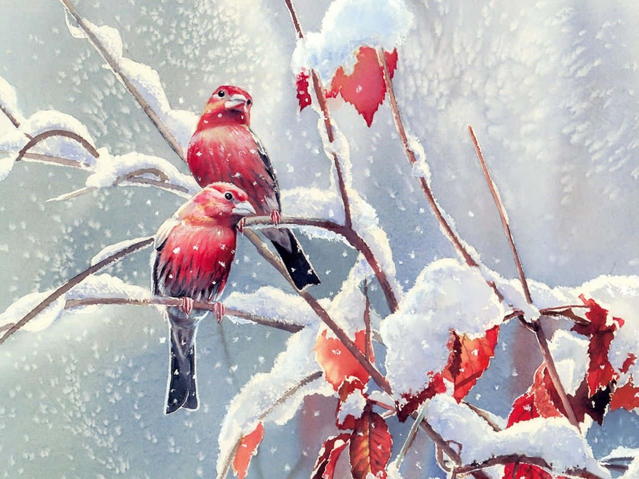 Snow Bird 桌布 壁紙 — 兩隻鮮紅色的鳥棲息在積雪的樹枝上，周圍飄落著雪花和紅葉。