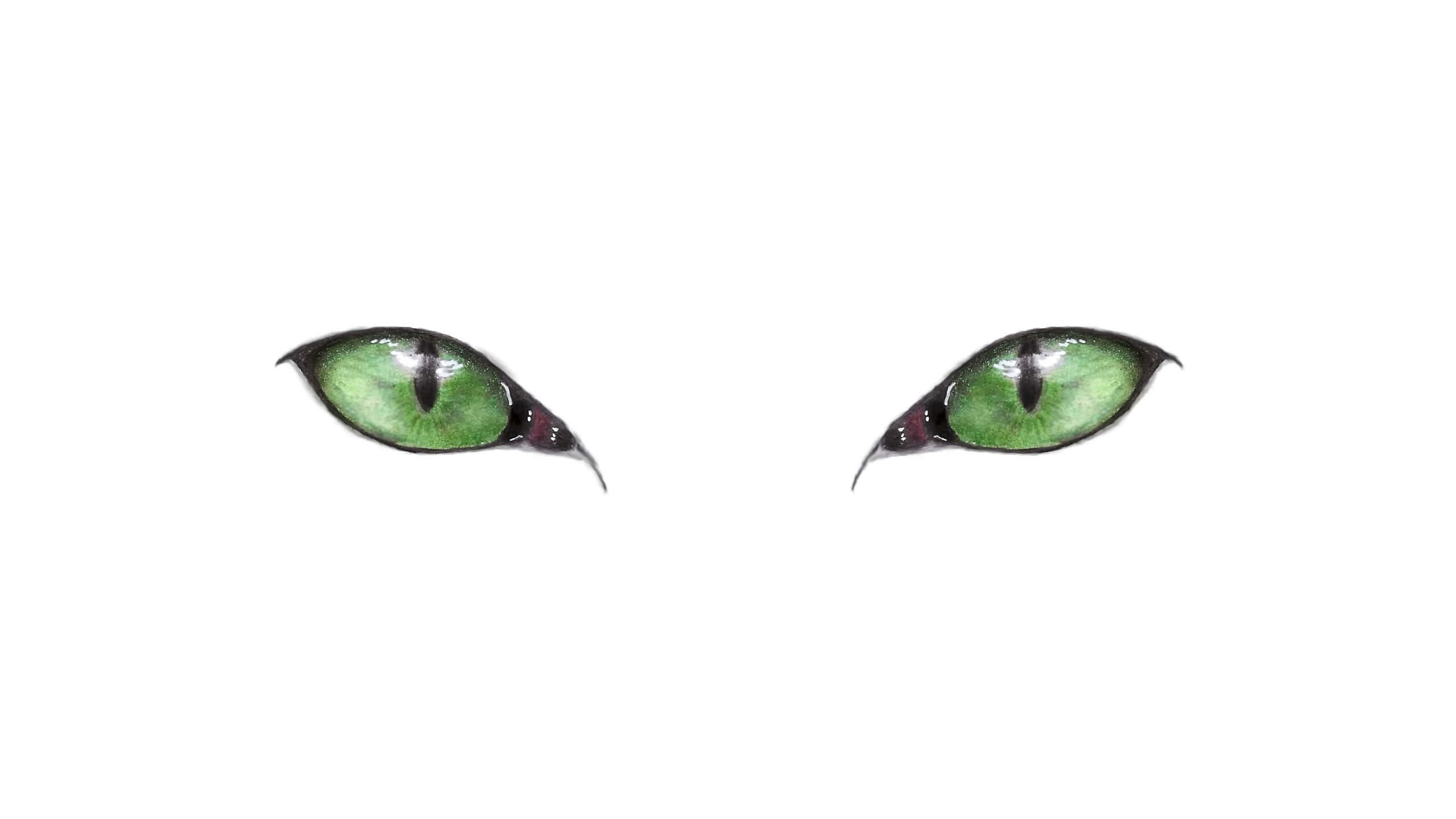 Eyes 桌布 壁紙 — 兩隻鮮綠色貓眼，帶有黑色瞳孔和狹縫狀瞳孔，在純白背景上直視前方。