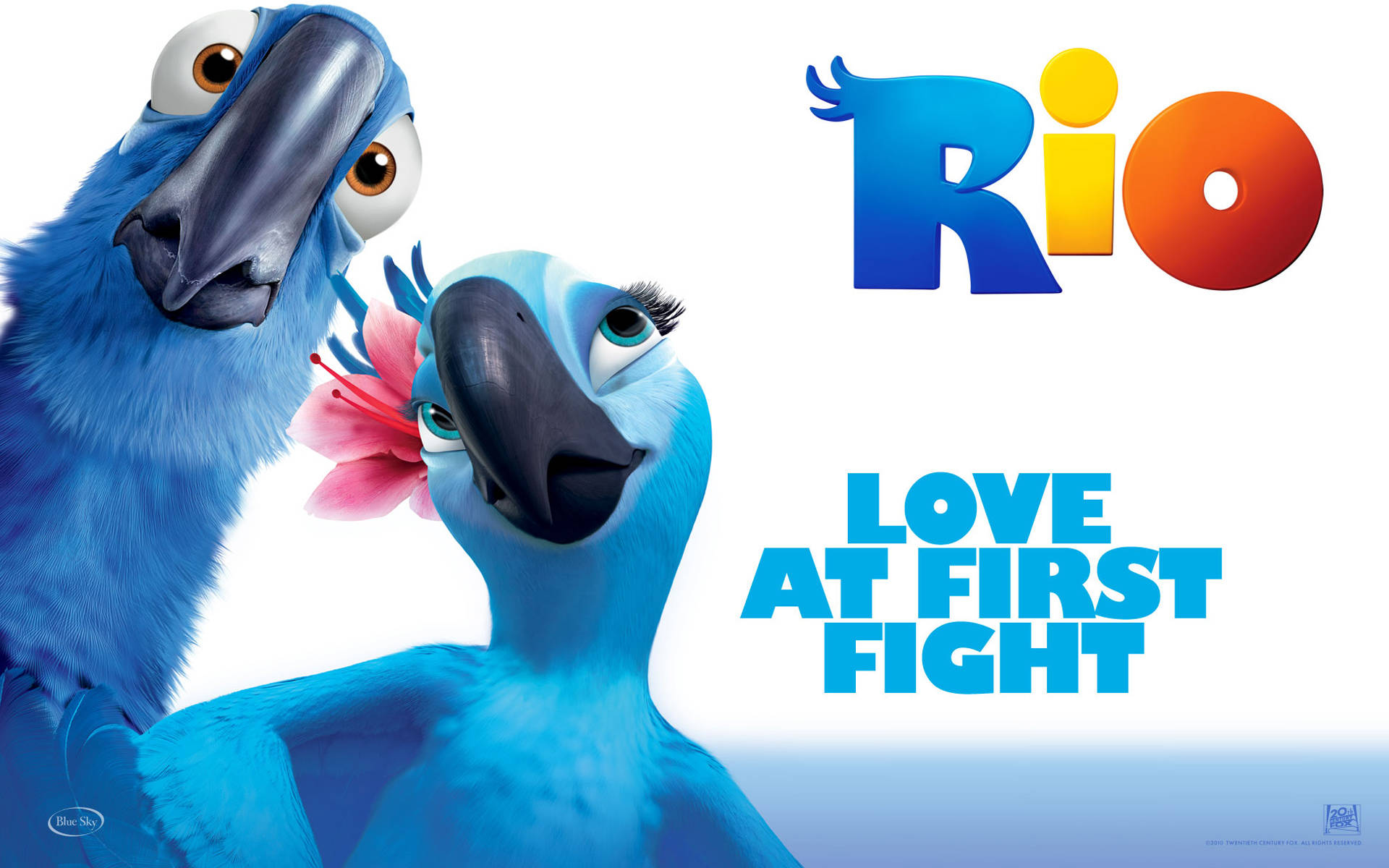 rio 桌布 壁紙 — 兩隻鮮藍色動畫金剛鸚鵡在明亮的白色背景前，含情脈脈地對望，中間夾著一朵粉紅色芙蓉花。