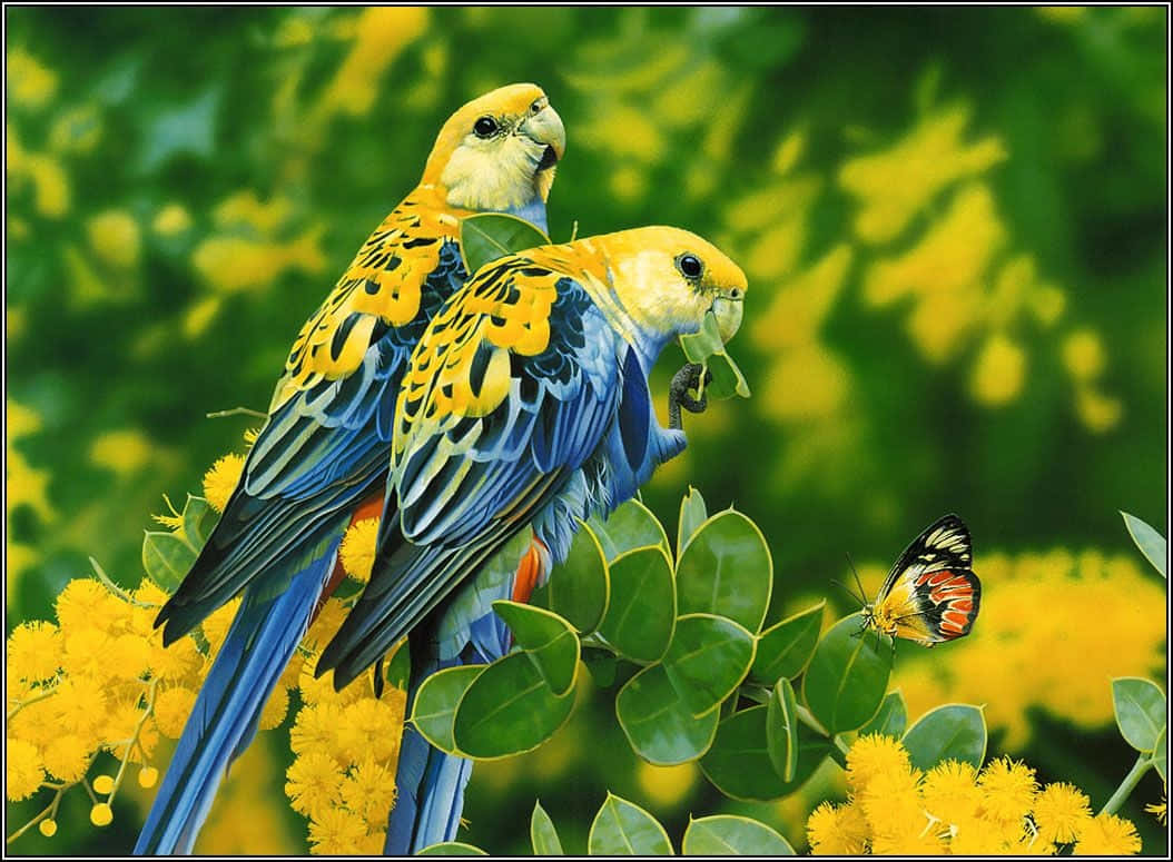 鳥 桌布 壁紙 — 兩隻鮮豔的黃色和藍色鸚鵡棲息在綠葉上，周圍是明亮的黃色花朵，附近有一隻色彩繽紛的蝴蝶。