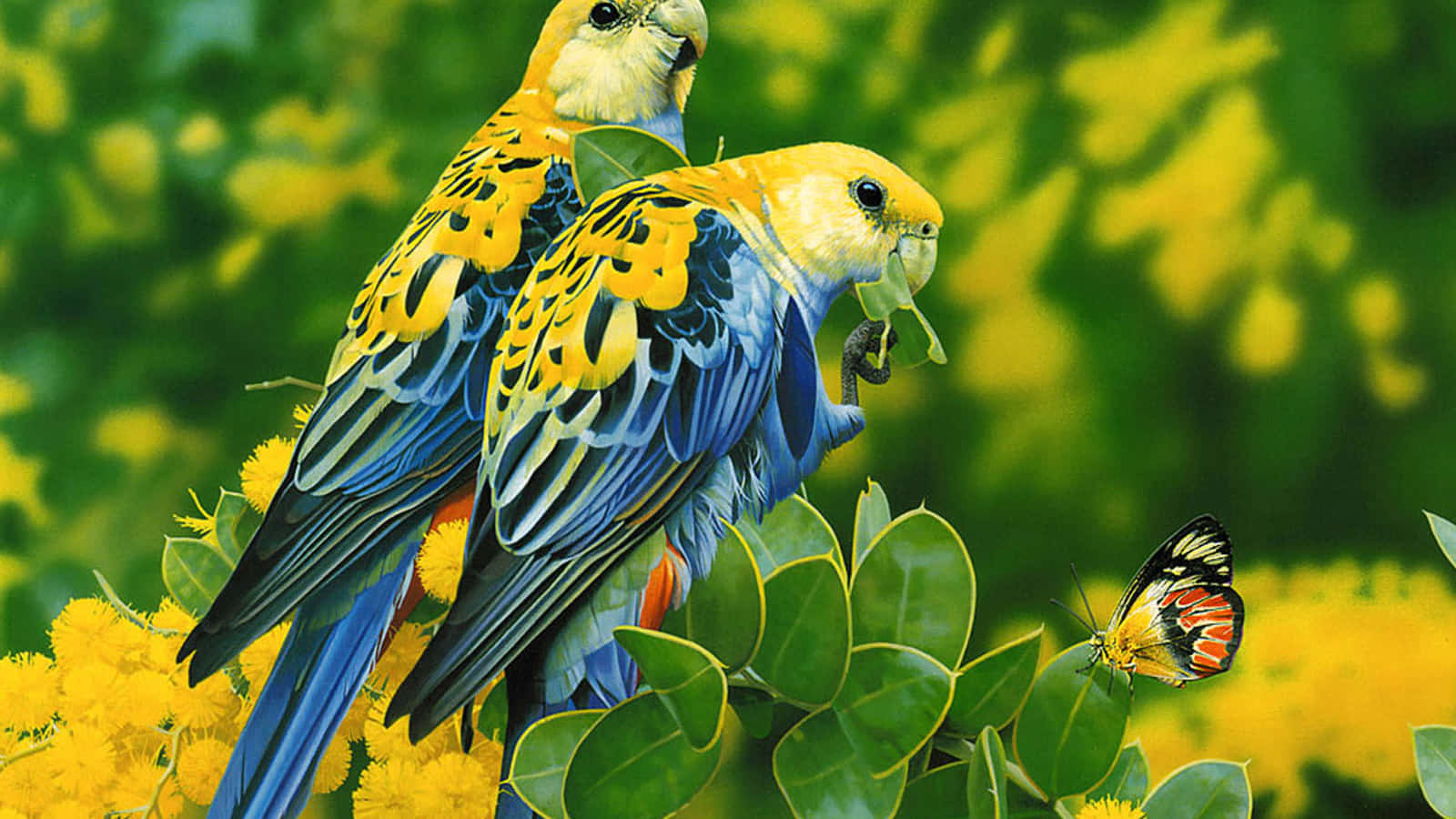 birds 桌布 壁紙 — 兩隻鮮豔的黃色和藍色鸚鵡棲息在綠葉上，周圍是盛開的黃色花朵，附近還有一隻色彩繽紛的蝴蝶。