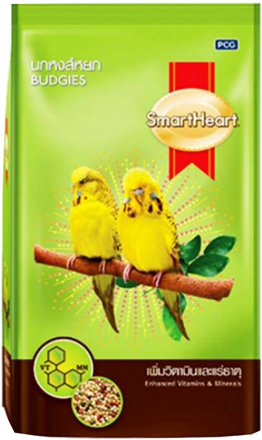 Yellow Bird 桌布 壁紙 — 兩隻鮮黃色虎皮鸚鵡棲息在樹枝上，背景是充滿活力的綠色，帶有太陽光線和產品文字。