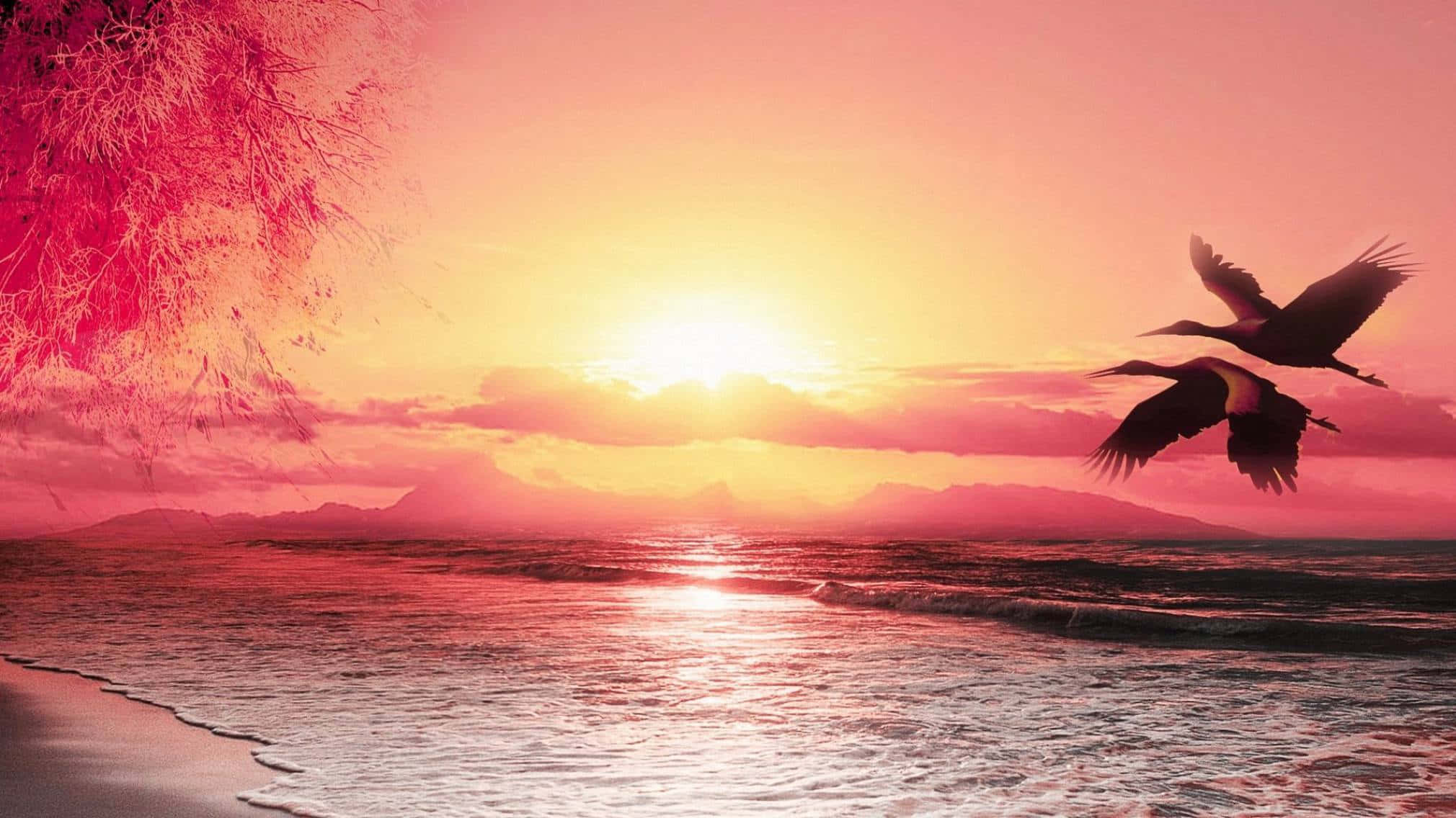 Beach Scene 桌布 壁紙 — 兩隻鳥在充滿活力的粉紅色和橙色日落海灘上翱翔，背景有剪影山脈和發光的水面。