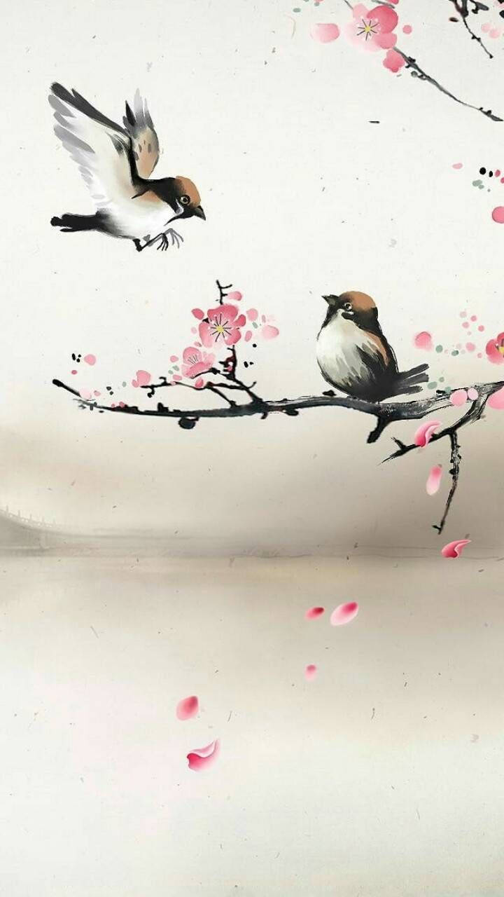 鳥 桌布 壁紙 — 兩隻鳥在盛開的粉紅色櫻花枝條附近互動，花瓣飄落在柔軟的紋理背景上。