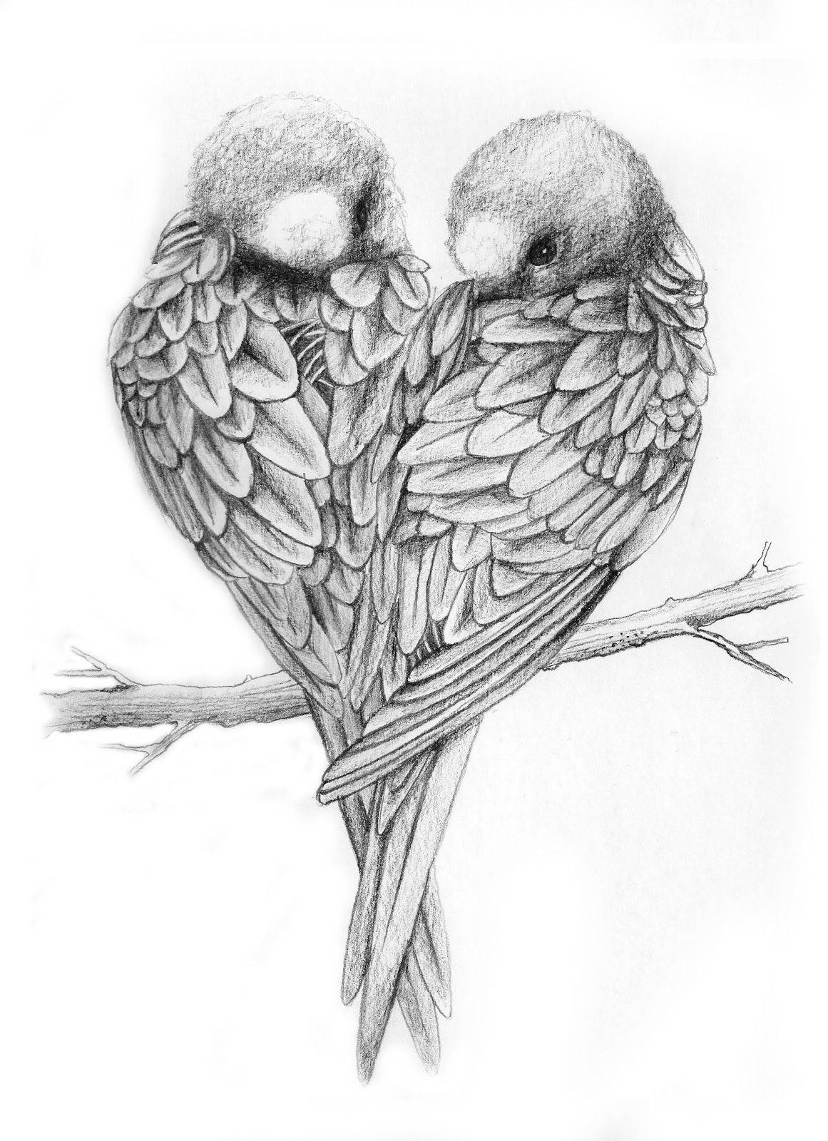 birds 桌布 壁紙 — 兩隻鳥棲息在樹枝上，以細緻的鉛筆素描用身體形成心形。