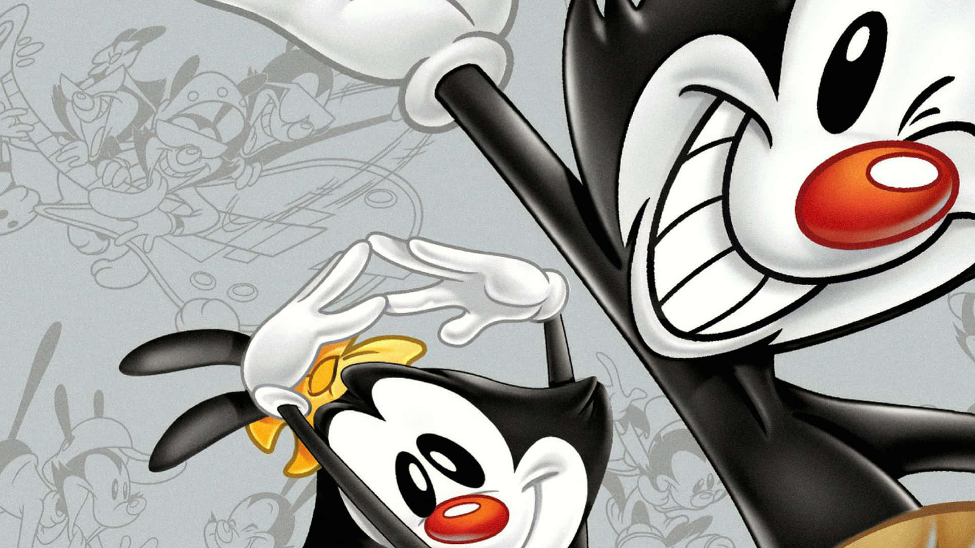Animaniacs 桌布 壁紙 — 兩隻黑白卡通企鵝，紅色喙，在充滿模糊角色草圖的灰色背景前愉快地擺姿勢。