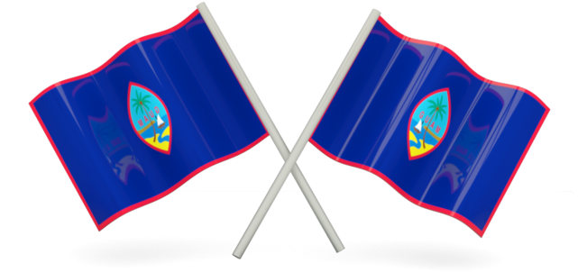 Flag 桌布 壁紙 — 兩面藍色旗幟帶有紅色邊框和中央徽章，在黑色背景上交錯。