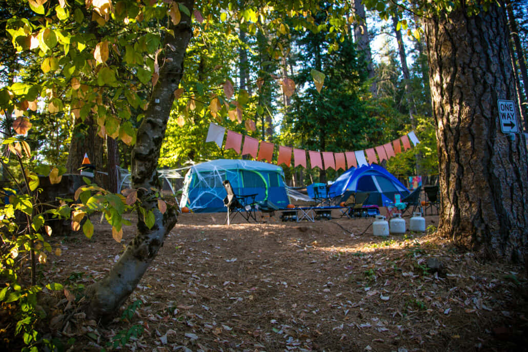 Fall Camping 桌布 壁紙 — 兩頂藍色帳篷坐落在陽光斑駁的森林中，樹間掛滿彩色旗幟，地上鋪滿落葉。