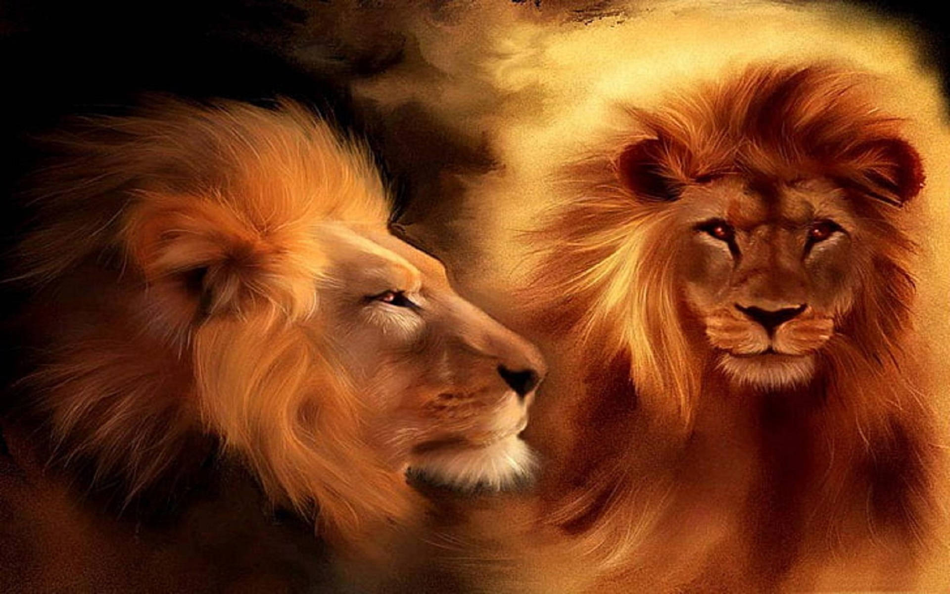 Lion Head 桌布 壁紙 — 兩頭擁有金色鬃毛的雄偉獅子，在溫暖發光的背景下專注地凝視著。