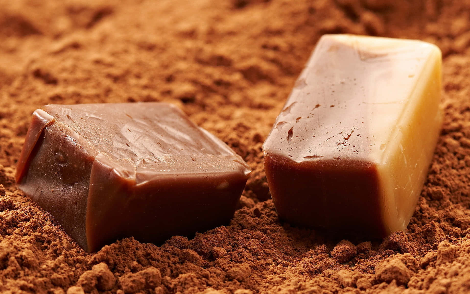 Brown Caramel 桌布 壁紙 — 兩顆光澤的焦糖糖果放在濃郁的可可粉床上，特寫鏡頭。