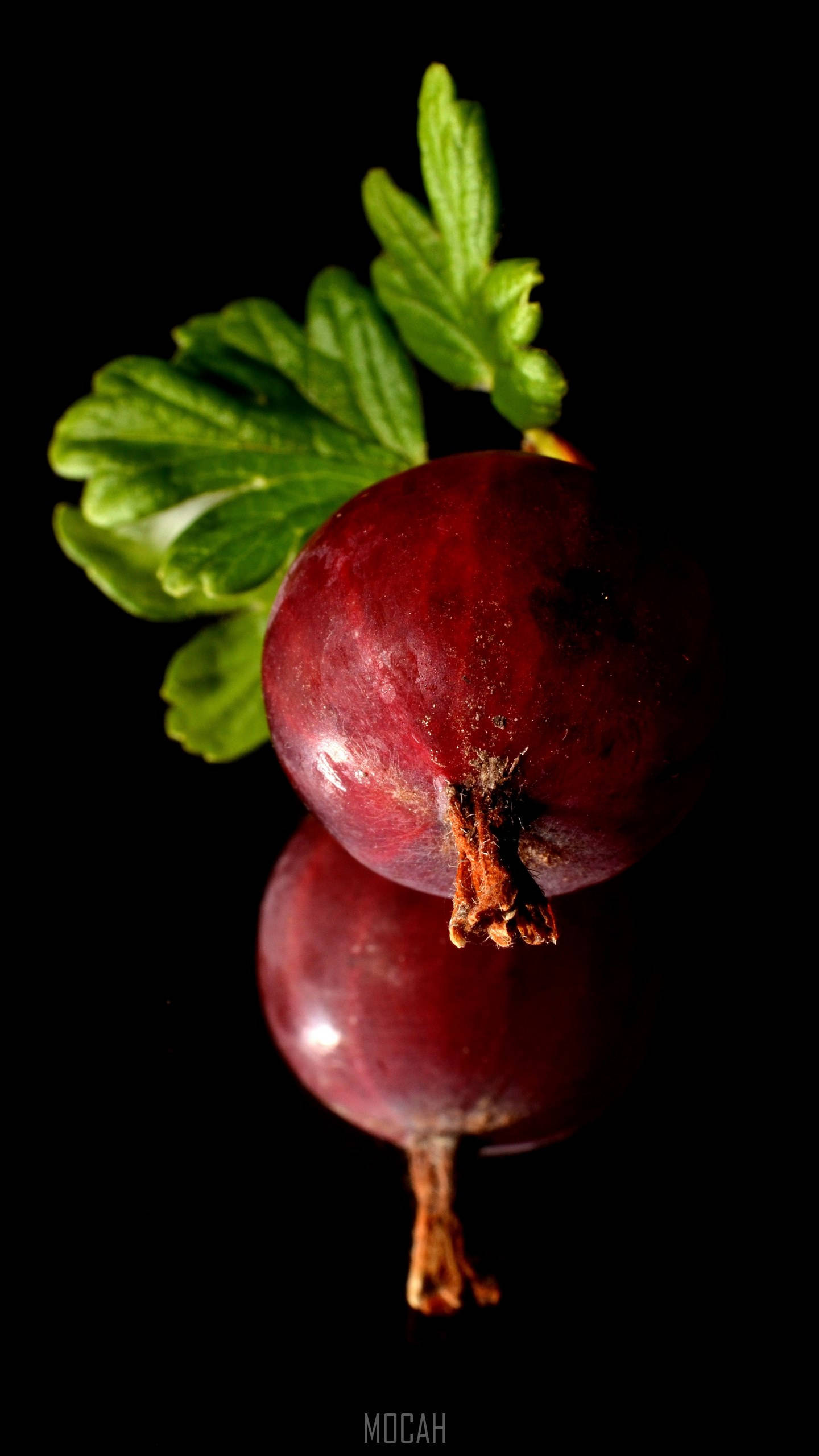 Fruits 桌布 壁紙 — 兩顆光澤的紅加侖子配綠葉，放置在黑色表面上，反射出其豐富的色彩。