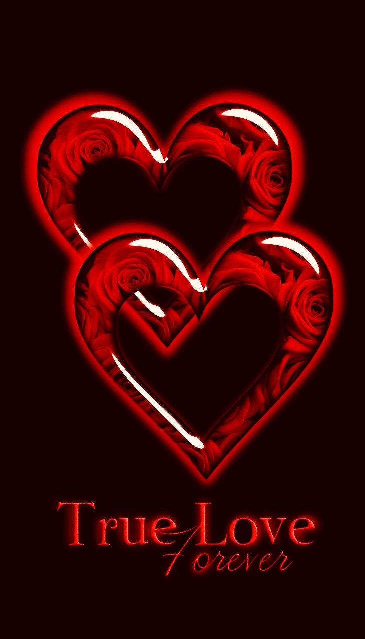 兩顆發光的紅色心形充滿玫瑰，帶有文字True Love Forever。 — 心形美學 GIF 壁紙