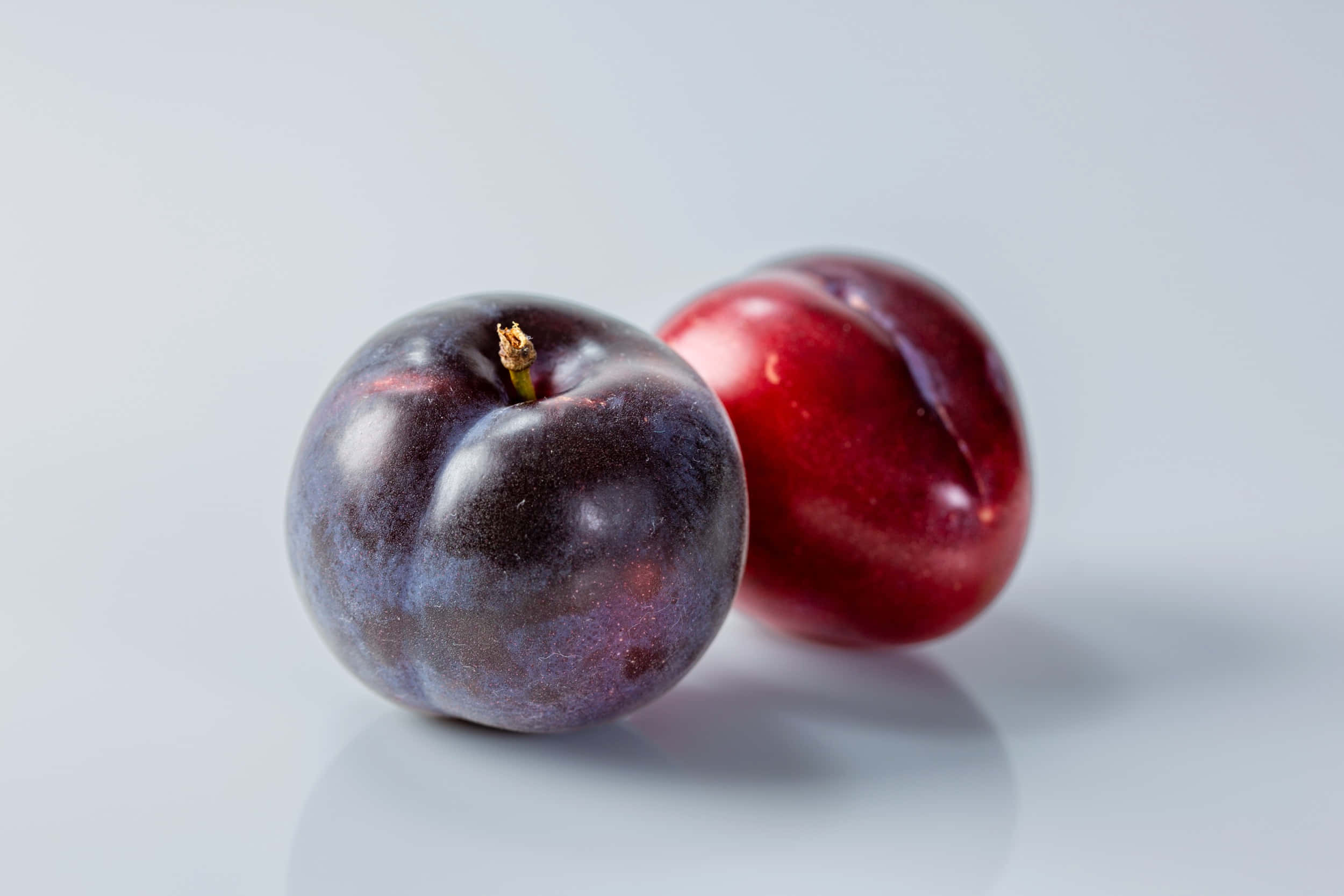 Red Plum 桌布 壁紙 — 兩顆飽滿的李子，一顆深紫色，一顆鮮紅色，放在潔白的表面上，帶有柔和陰影。