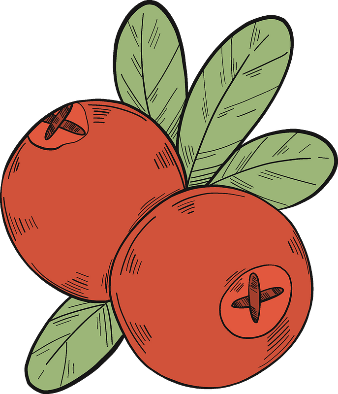 Healthy Food 桌布 壁紙 — 兩顆鮮紅的蔓越莓搭配綠葉，以手繪風格呈現在柔和的青綠色背景上。