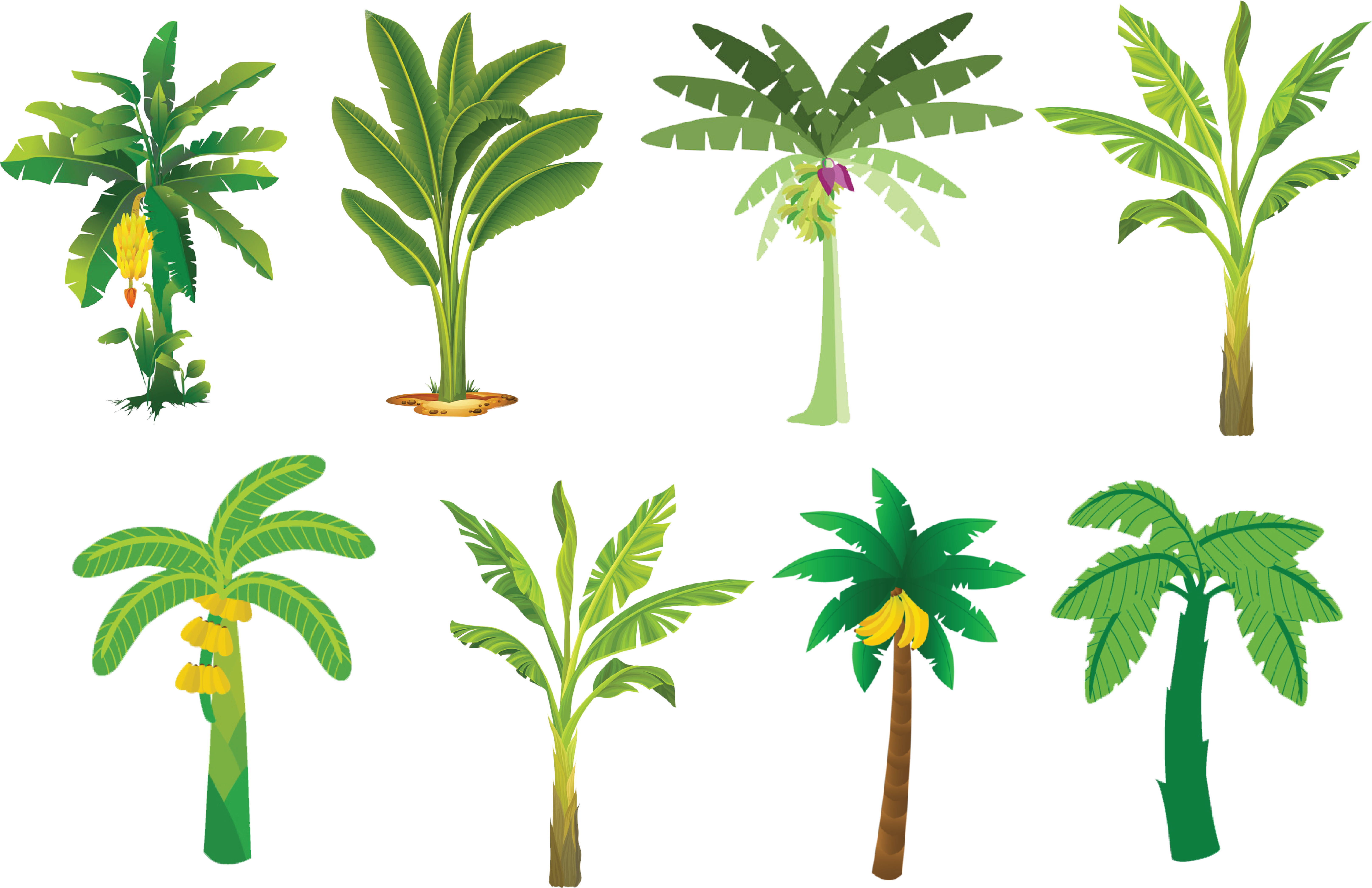 Trees Clipart 桌布 壁紙 — 八種風格化的熱帶植物，包括香蕉樹和棕櫚樹，帶有黃色果實和紫色花朵，背景為黑色。