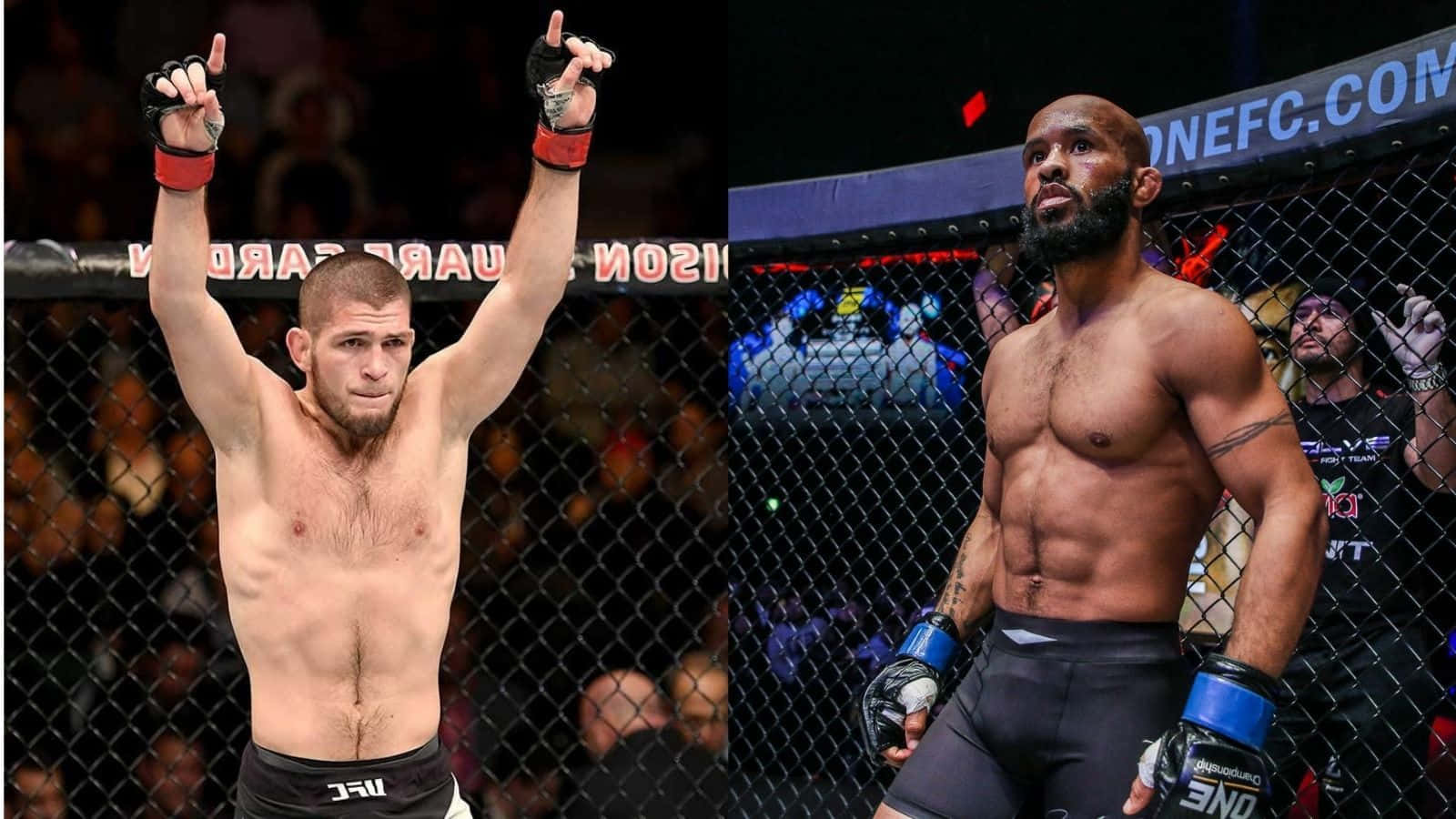 MMA 桌布 壁紙 — 八角籠中兩名肌肉發達的MMA拳手，一人舉拳慶祝勝利，另一人則冷靜地站在籠中。