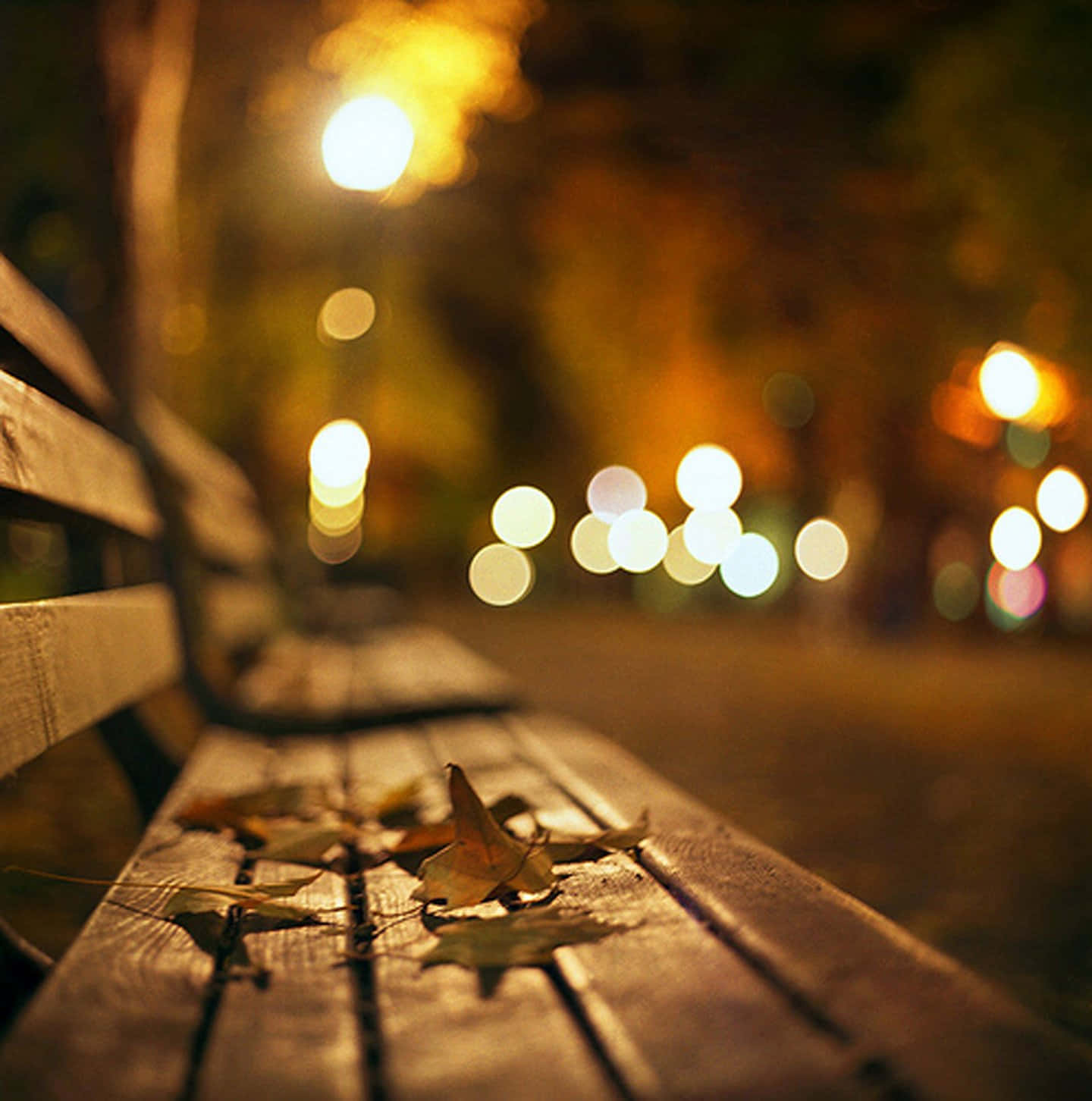 Street Light 桌布 壁紙 — 公園裡夜晚的木長凳，在溫暖的散景街燈下，有掉落的秋天樹葉。