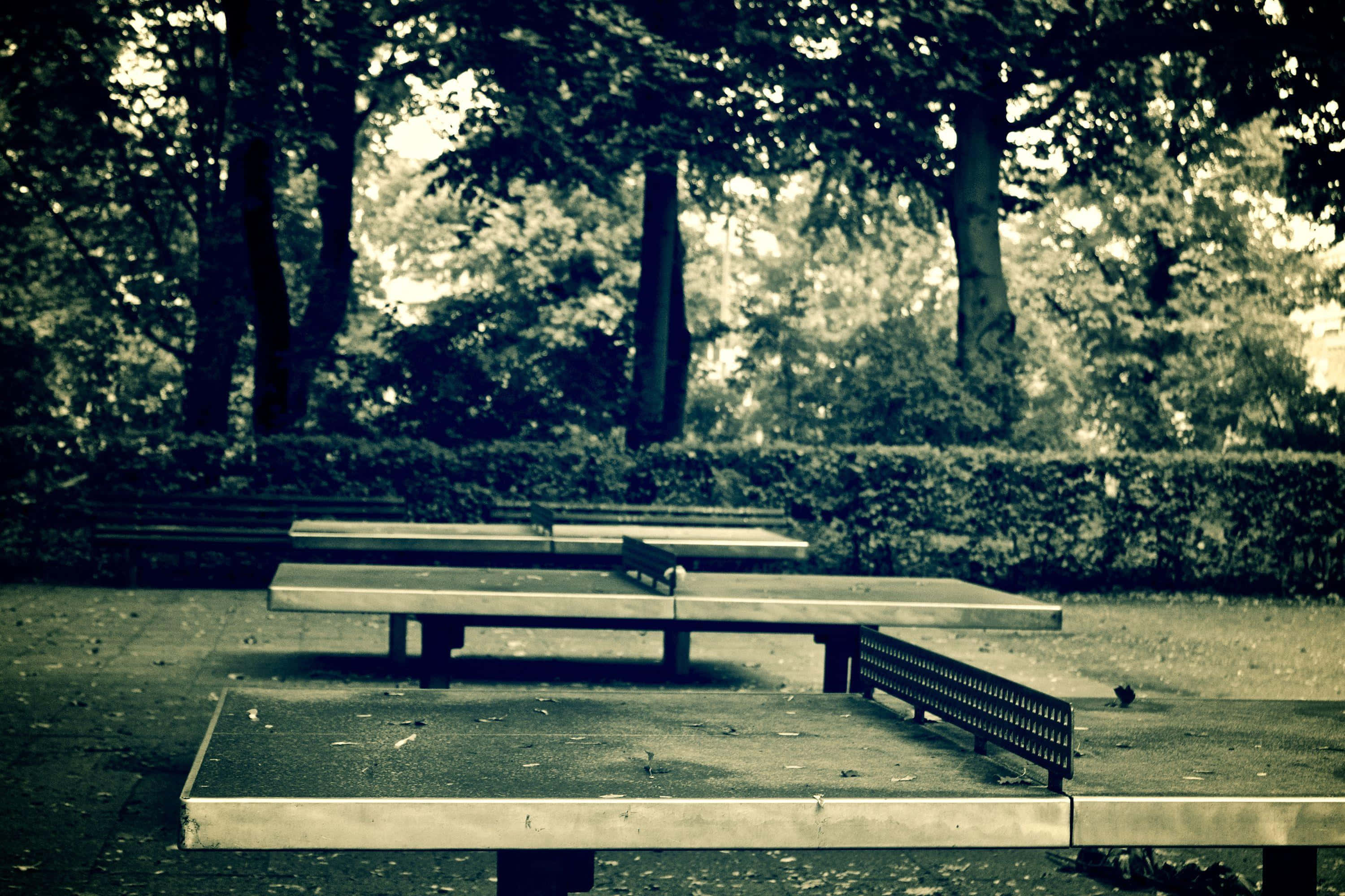 公園裡的桌球桌 壁紙