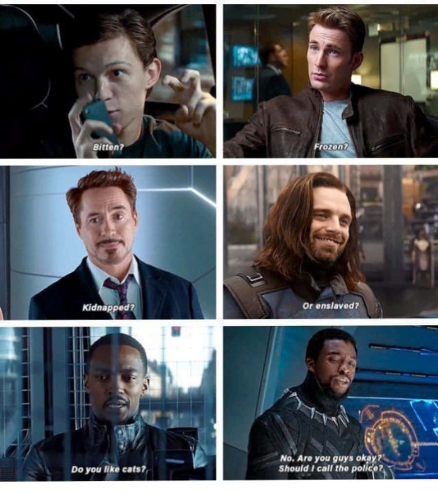 funny quotes 桌布 壁紙 — 六位Marvel英雄對涉及貓的神秘情況表現出困惑和擔憂。