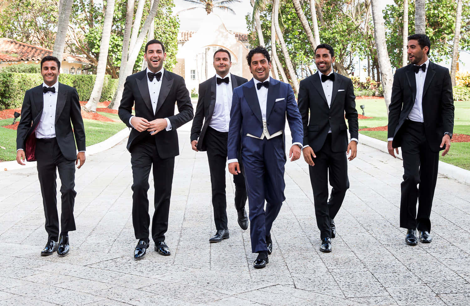 Groomsmen 桌布 壁紙 — 六個微笑的男人穿著燕尾服自信地走在一條石徑上，兩旁種滿棕櫚樹和修剪整齊的花園。