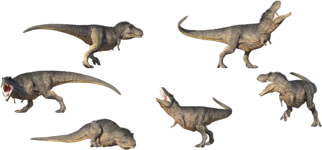 Dino 桌布 壁紙 — 六個灰色紋理暴龍模型，以各種動態姿勢呈現在黑色背景上。