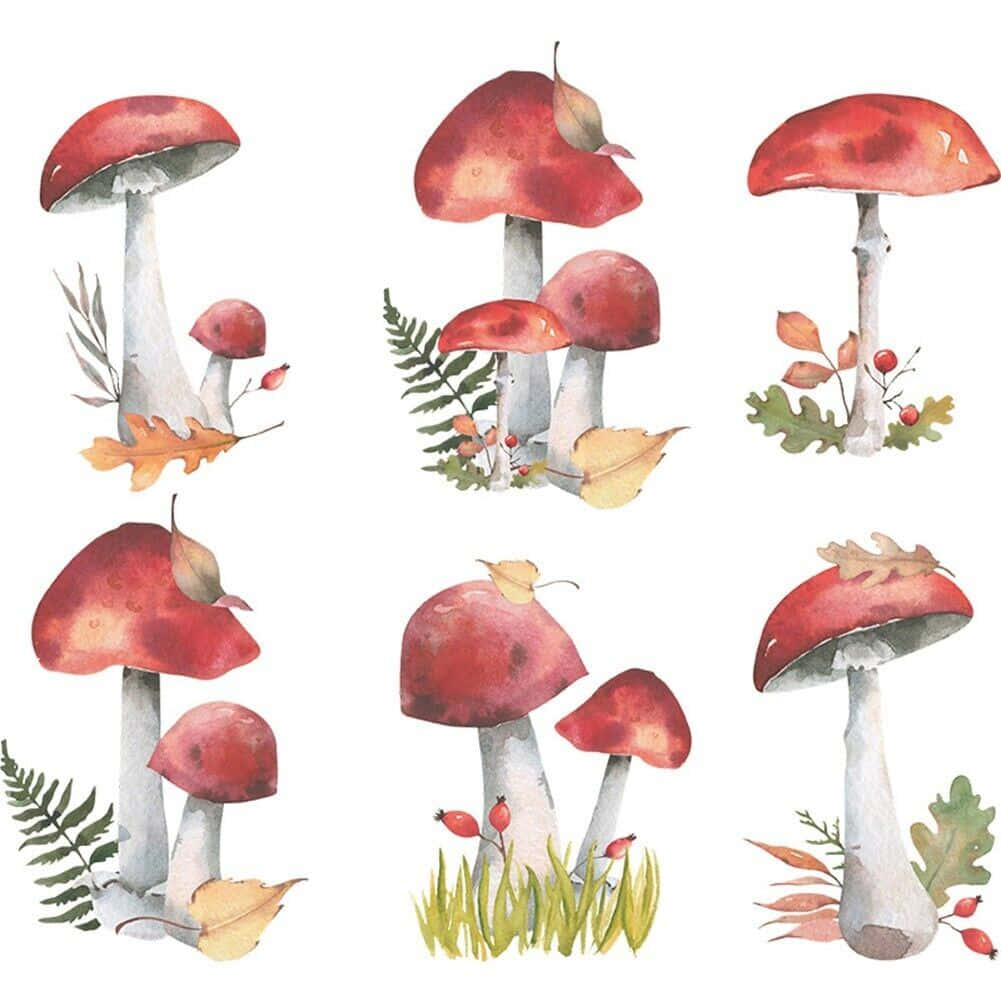 Mushroom Aesthetic 桌布 壁紙 — 六幅水彩插圖，描繪紅帽蘑菇搭配秋葉和蕨類植物，背景為白色。