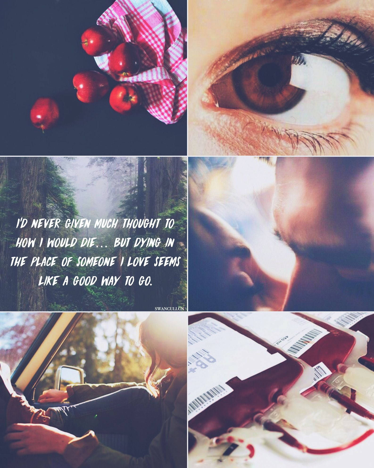 Twilight Aesthetic 桌布 壁紙 — 六張不同圖片的拼貼：布上的紅蘋果、眼睛特寫、森林名言、親密接吻、車內的人和捐血袋。
