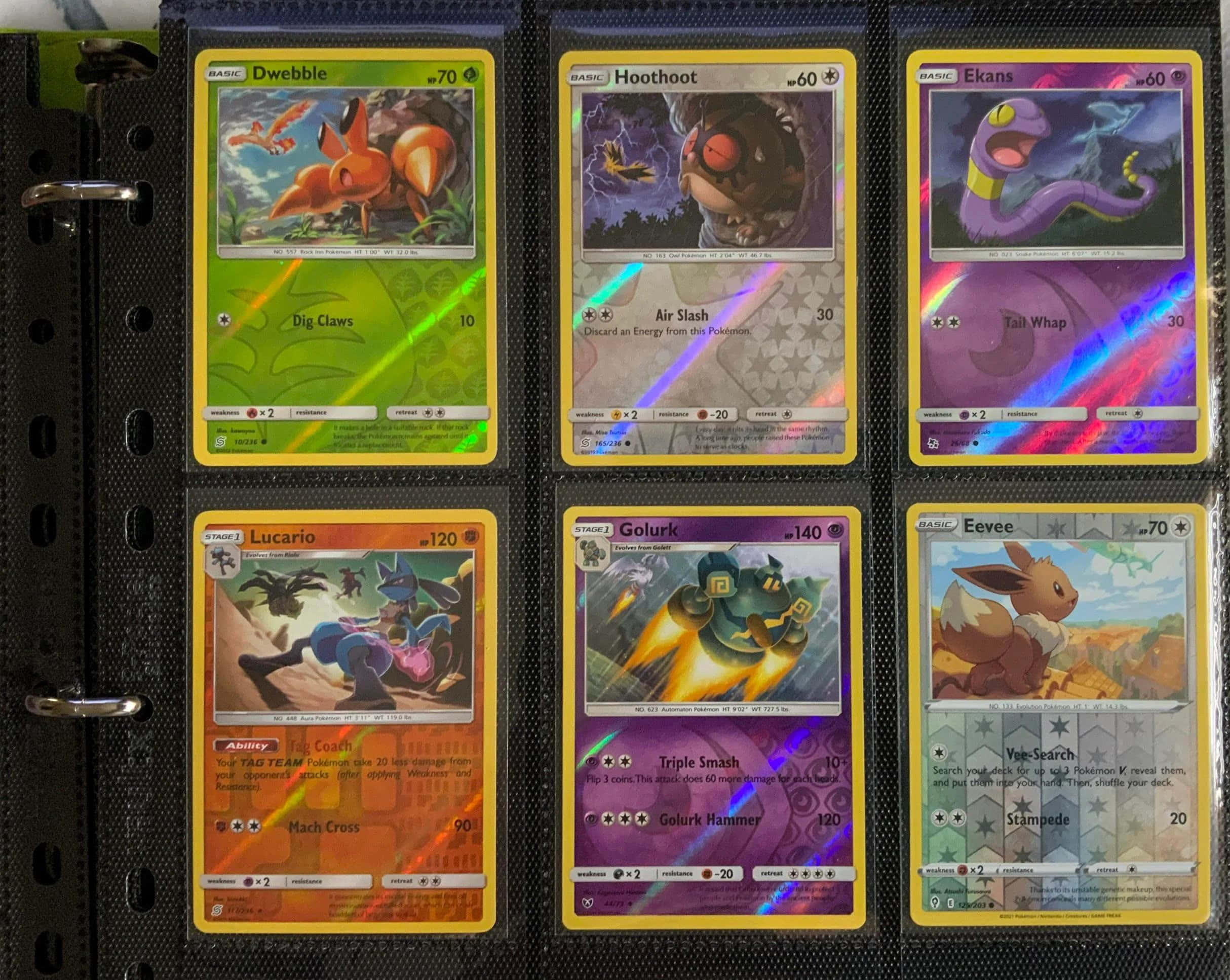 Pokemon Card 桌布 壁紙 — 六張全息寶可夢集換式卡牌展示在帶有銀色圓環的黑色活頁夾中。