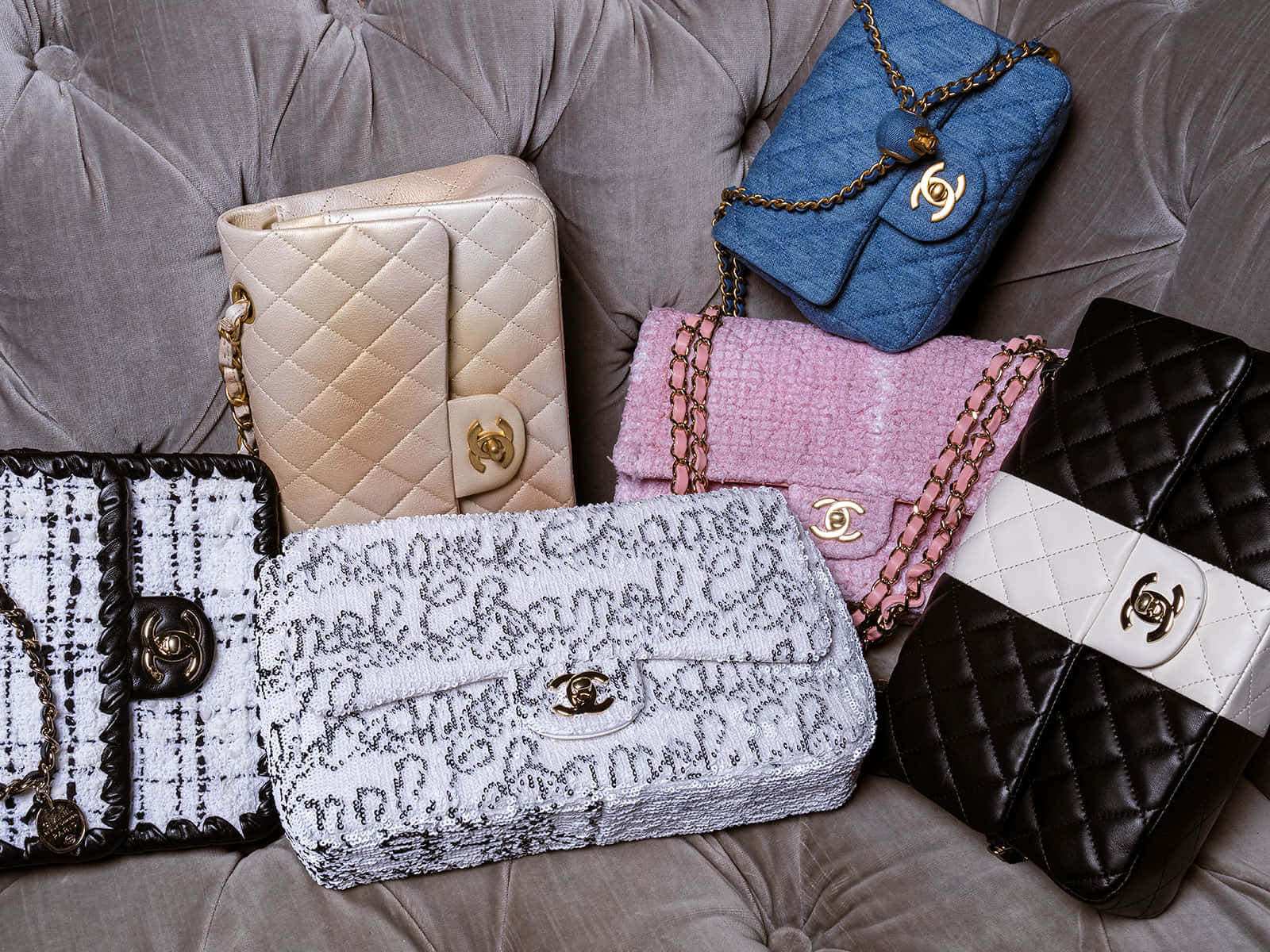 Chanel 桌布 壁紙 — 六款不同質感和顏色的奢華 Chanel 手袋優雅地擺放在一張簇絨灰色天鵝絨沙發上。