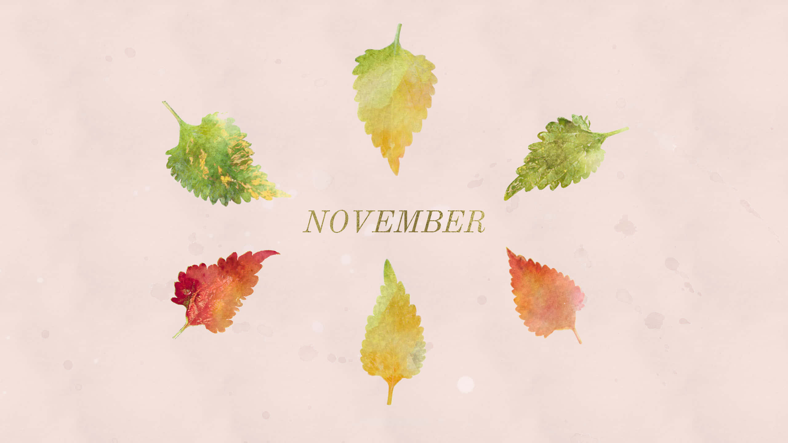 Fall Leaves 桌布 壁紙 — 六片水彩秋葉，以綠色、橙色和紅色色調，漂浮在柔軟的米色紋理背景上的「November」字樣周圍。