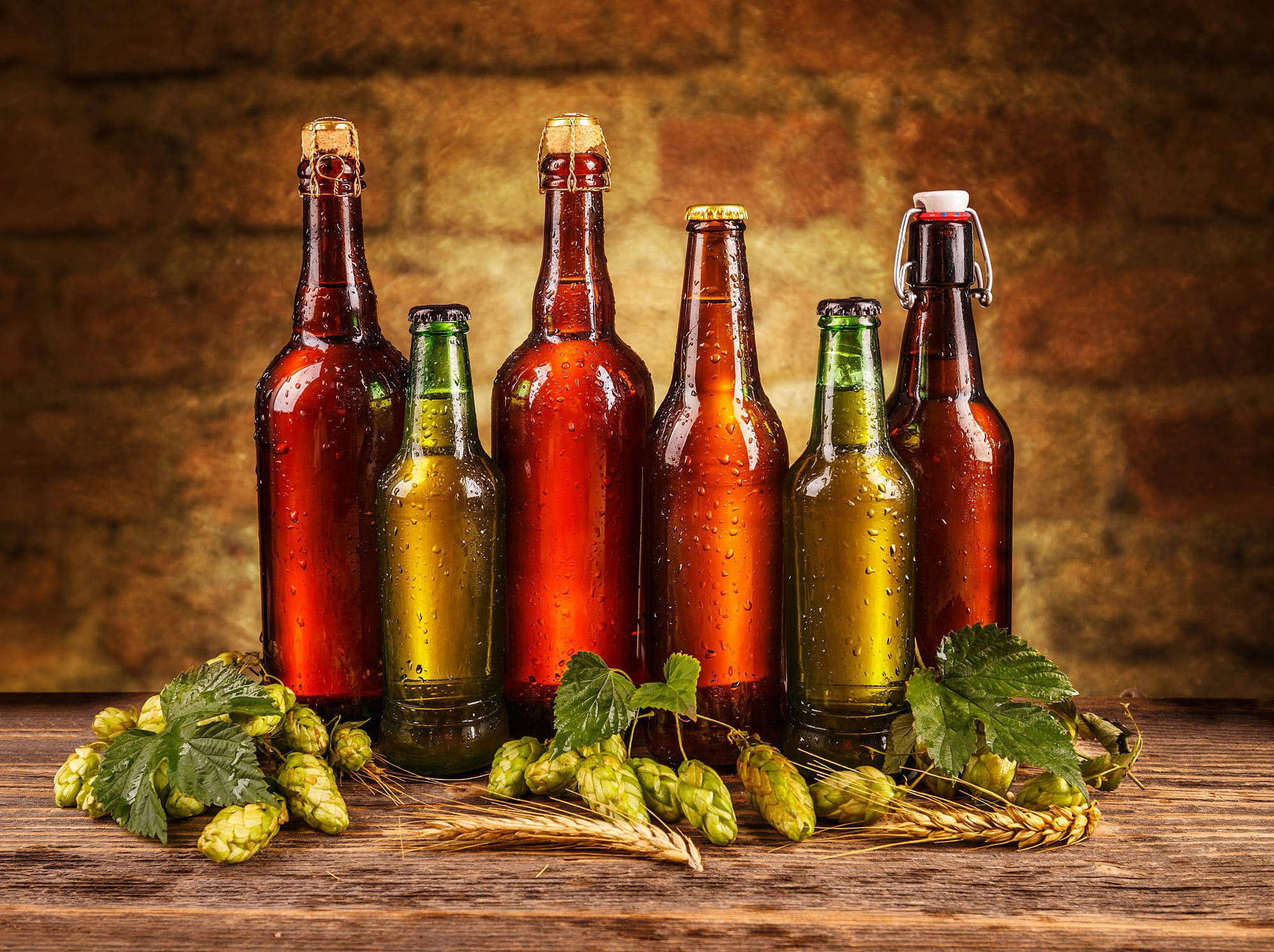 alcohol 桌布 壁紙 — 六瓶冰涼啤酒帶著冷凝水珠，立在質樸的木桌上，旁邊是新鮮的啤酒花球和麥稈，背景是溫暖的磚牆。