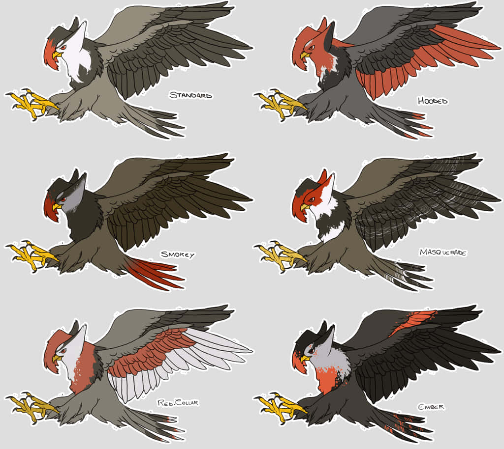 Birds Flying 桌布 壁紙 — 六種插圖鷹變體，具有不同的翅膀和尾巴顏色，在純灰色背景上展示飛行姿態。