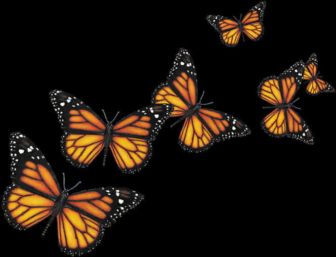 Monarch Butterfly 桌布 壁紙 — 六隻帝王斑蝶，橙色翅膀帶黑色脈絡，在純黑色背景上優雅飛翔。