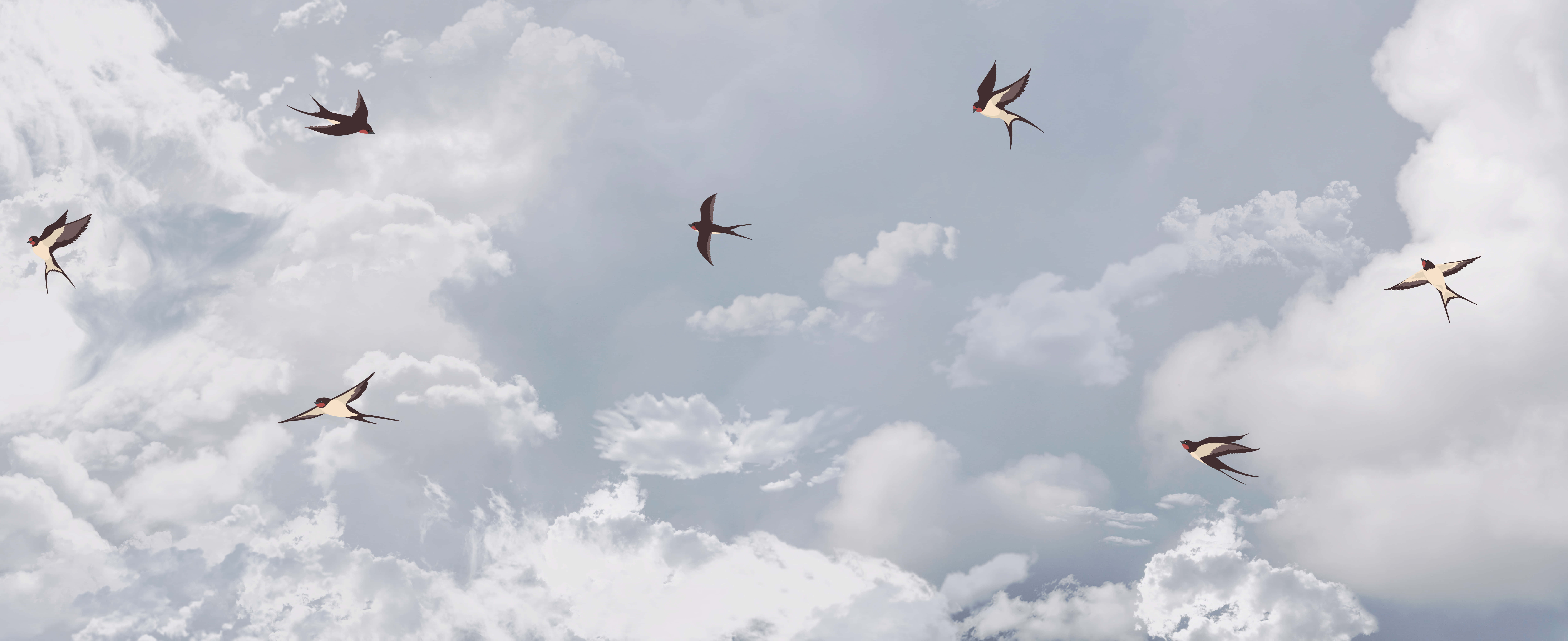 beautiful Blue Sky and Clouds 壁紙 — 六隻燕子優雅地飛翔在充滿蓬鬆白雲的明亮天空中。